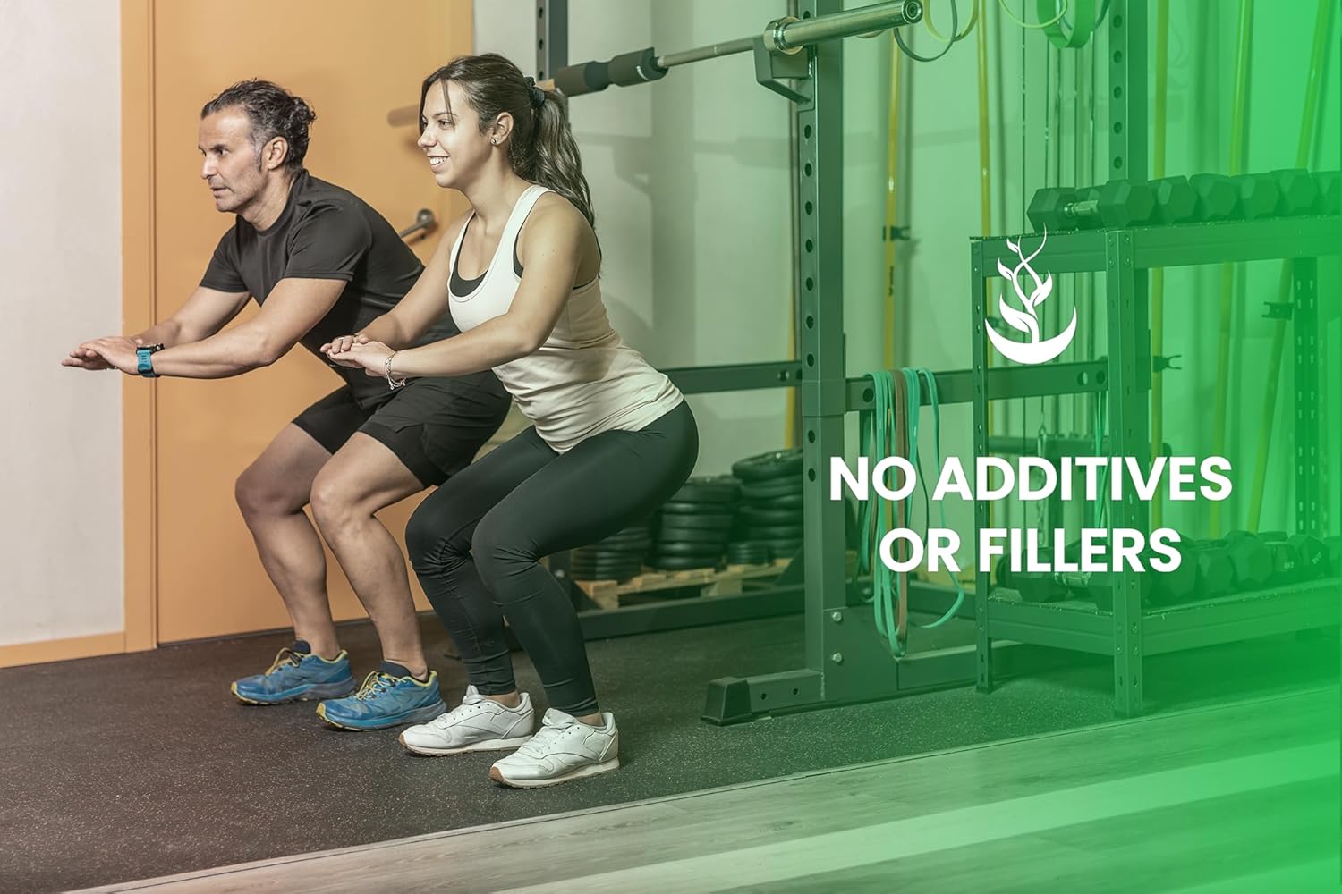 365 Capsules of Pure Celery Seed Extract, No Magnesium or Rice Fillers, Lab Verified Quality