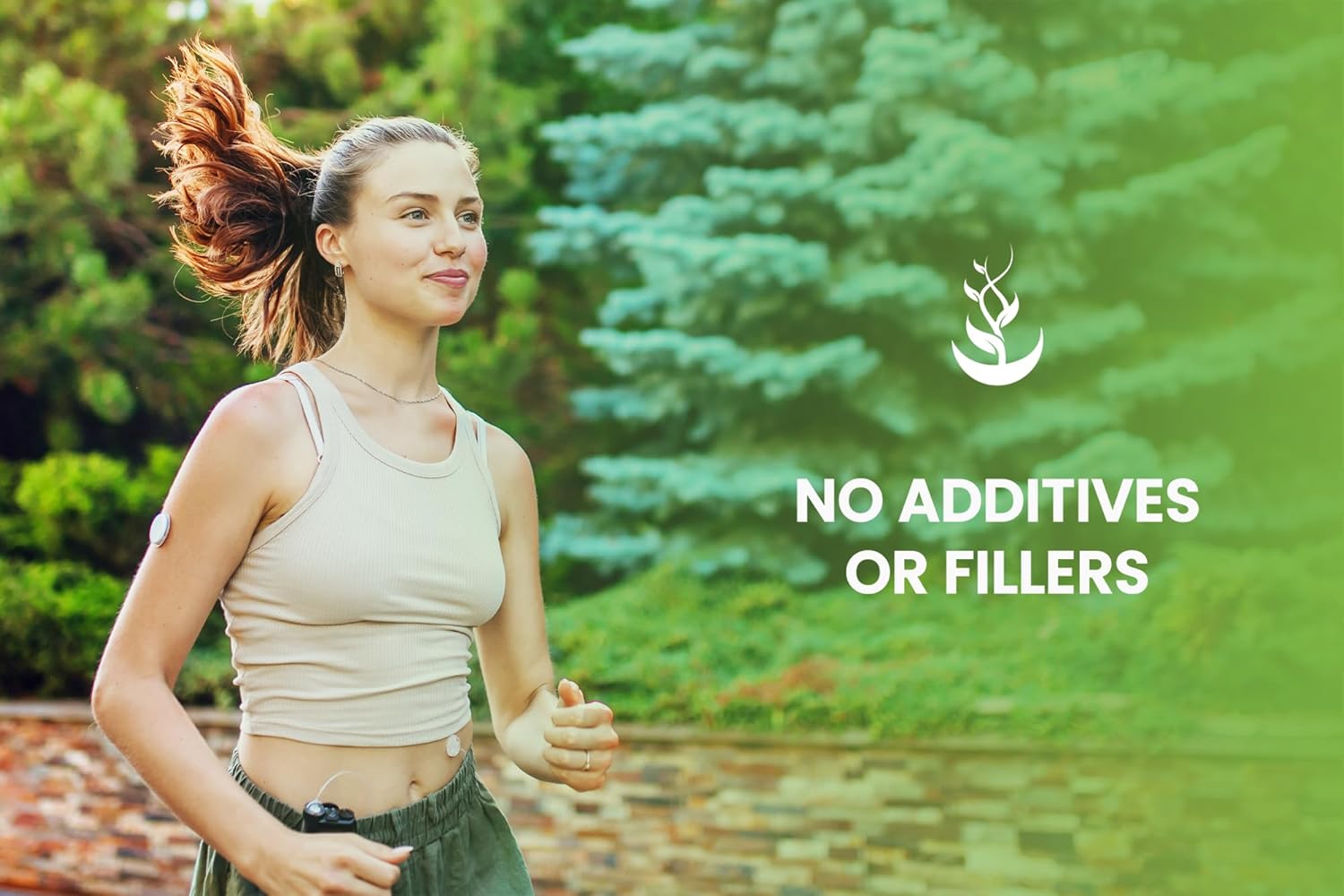 365 Capsules of Pure Celery Seed with No Magnesium or Rice Fillers - Lab Verified & Always Pure