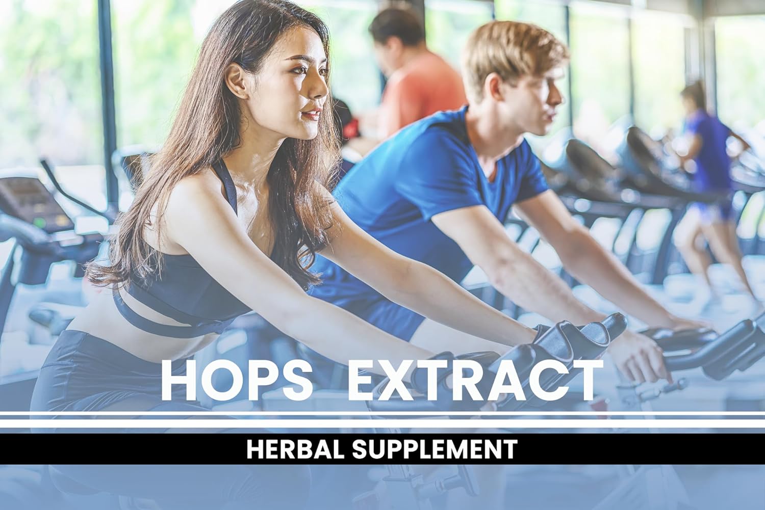 365 Capsules of Pure Hops Extract - No Magnesium or Rice Fillers - Lab Verified Quality