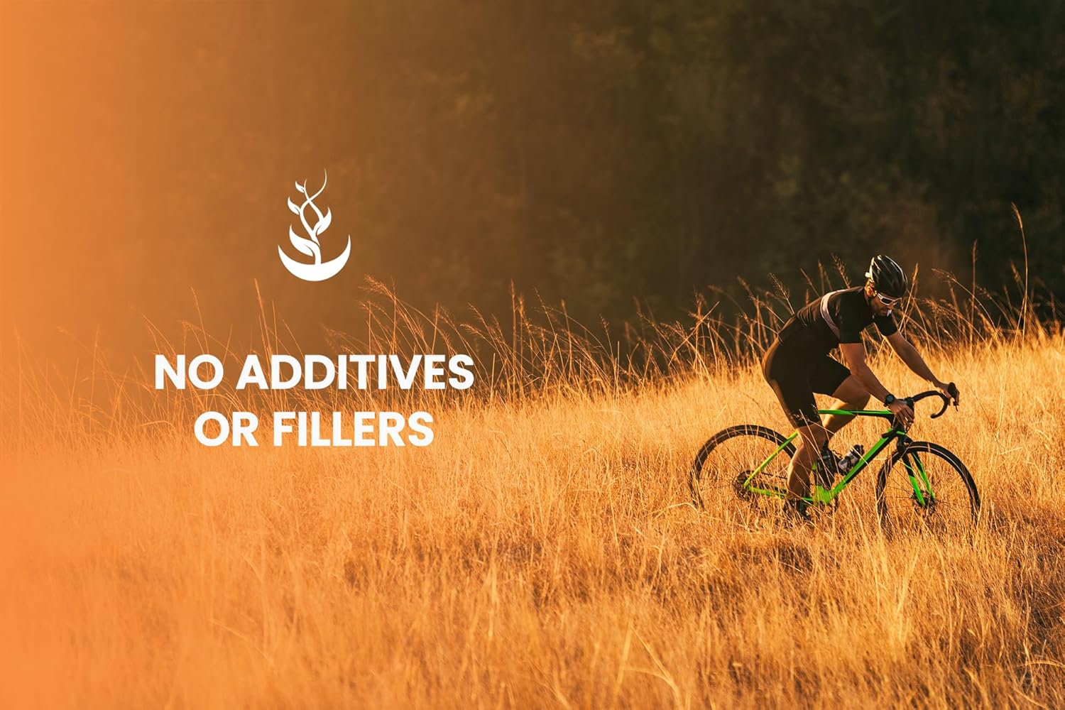 365 Pure Ashwagandha Capsules - No Magnesium or Rice Fillers, Lab Verified