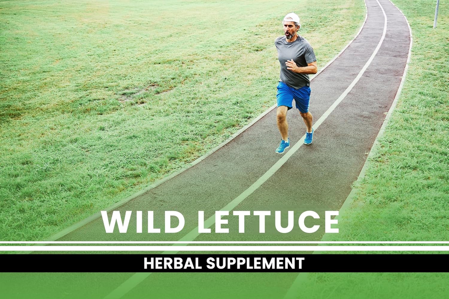 365 Wild Lettuce Capsules - Pure Ingredients, Lab Verified, No Magnesium or Rice Fillers