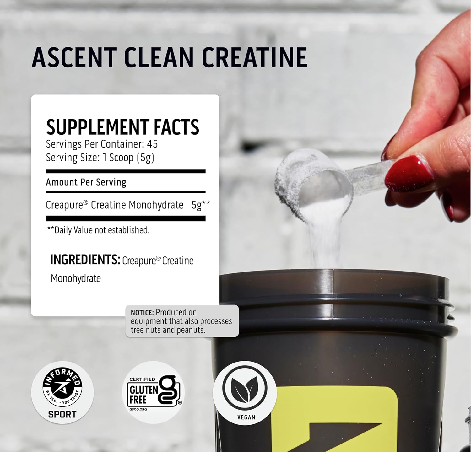 4 lb Chocolate Peanut Butter Whey Protein Powder + 45 Servings Creatine Monohydrate Powder Kit