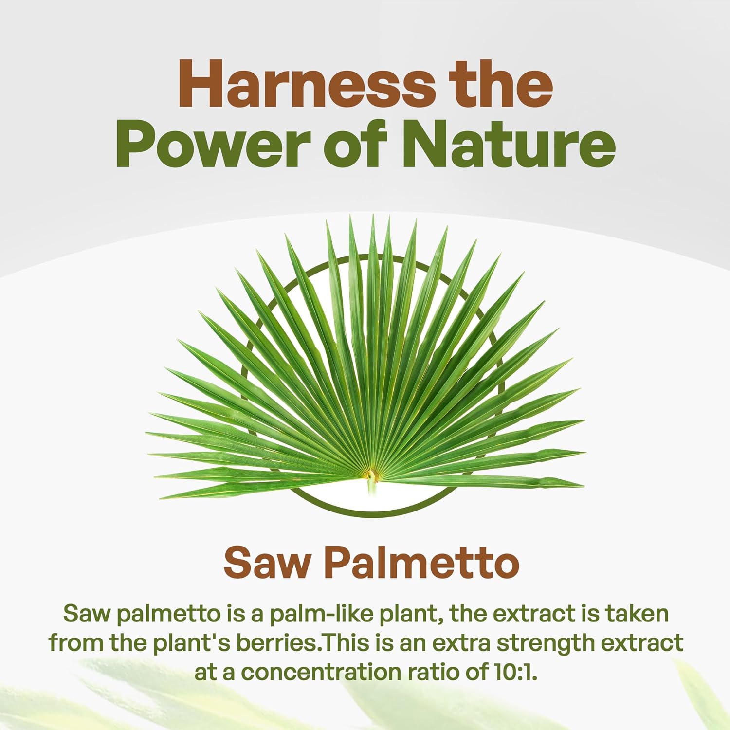 4 oz Saw Palmetto Extract Powder - Potent 10:1 Strength Supplement