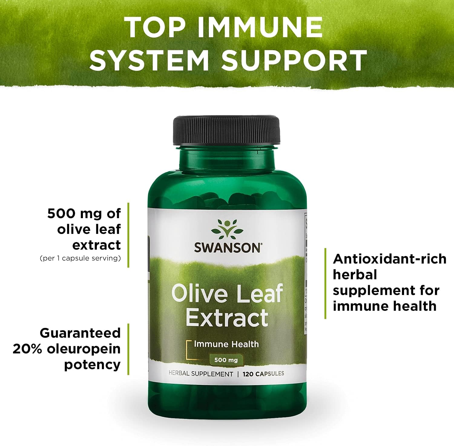 4 Pack of Swanson Olive Leaf Extract Capsules - 2 Bottles of 120 Capsules (500mg Each) - High Oleuropein Content