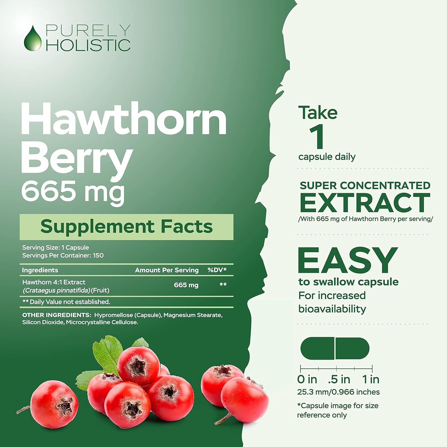 400 Vegan Capsules of Purely Holistic Grape Seed Extract and Hawthorn Berry Bundle - 400mg + 665mg - USA Made
