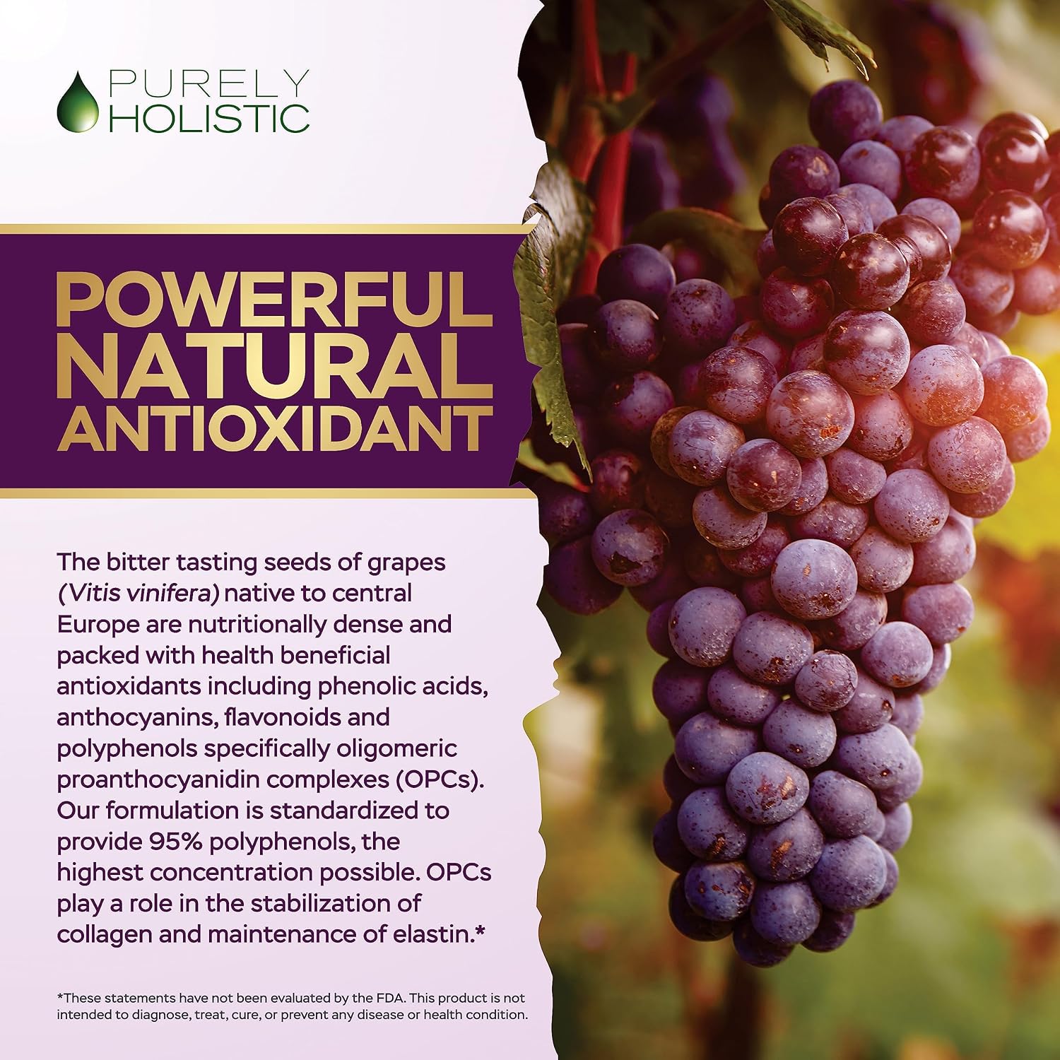 400 Vegan Capsules of Purely Holistic Grape Seed Extract and Hawthorn Berry Bundle - 400mg + 665mg - USA Made