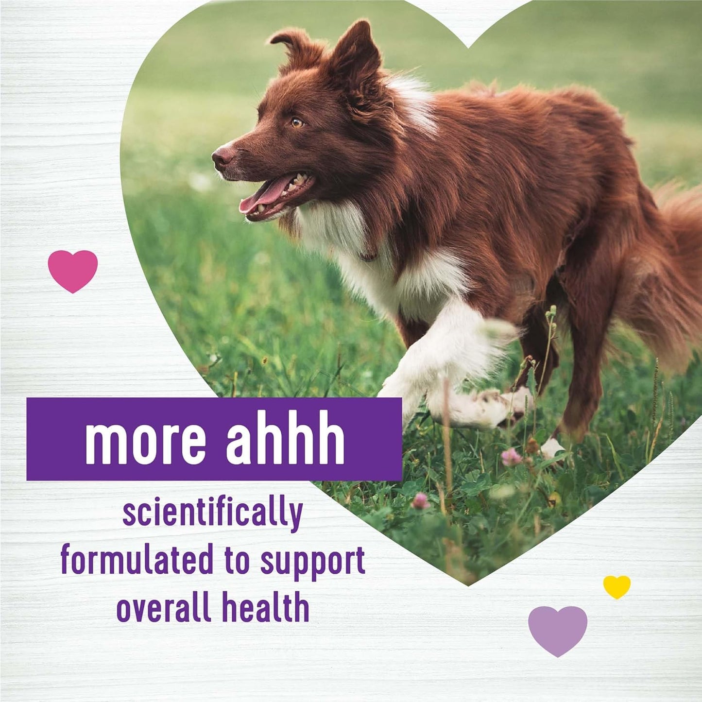 45 Count Wellness Soft Chews with Peanut Butter & Apple Flavor for Dog's Multi-Benefit Supplements