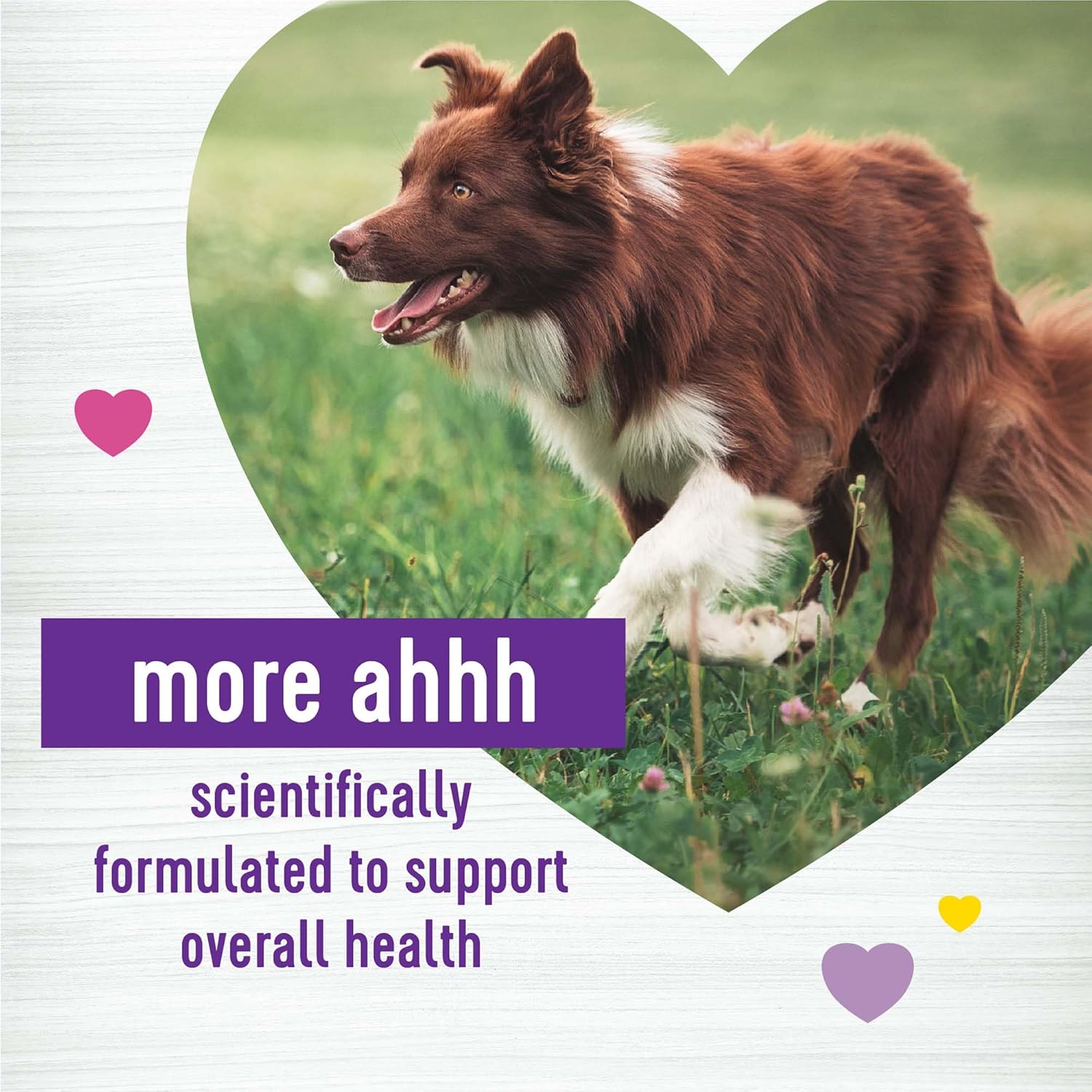 45 Count Wellness Soft Chews with Peanut Butter & Apple Flavor for Dog's Multi-Benefit Supplements