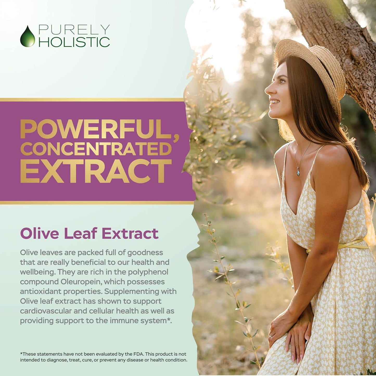 485 Vegan Capsules of Purely Holistic Olive Leaf Extract 750mg + Vitamin C 1000mg 2 Stage Release Bundle - USA Made