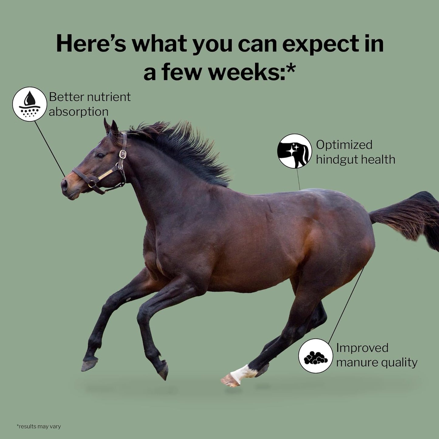 4lb Bag of Formula 707 Equine Supplement for Digestive Health - Probiotics, Prebiotics, Digestive Enzymes for Horses - BoostGo Australia