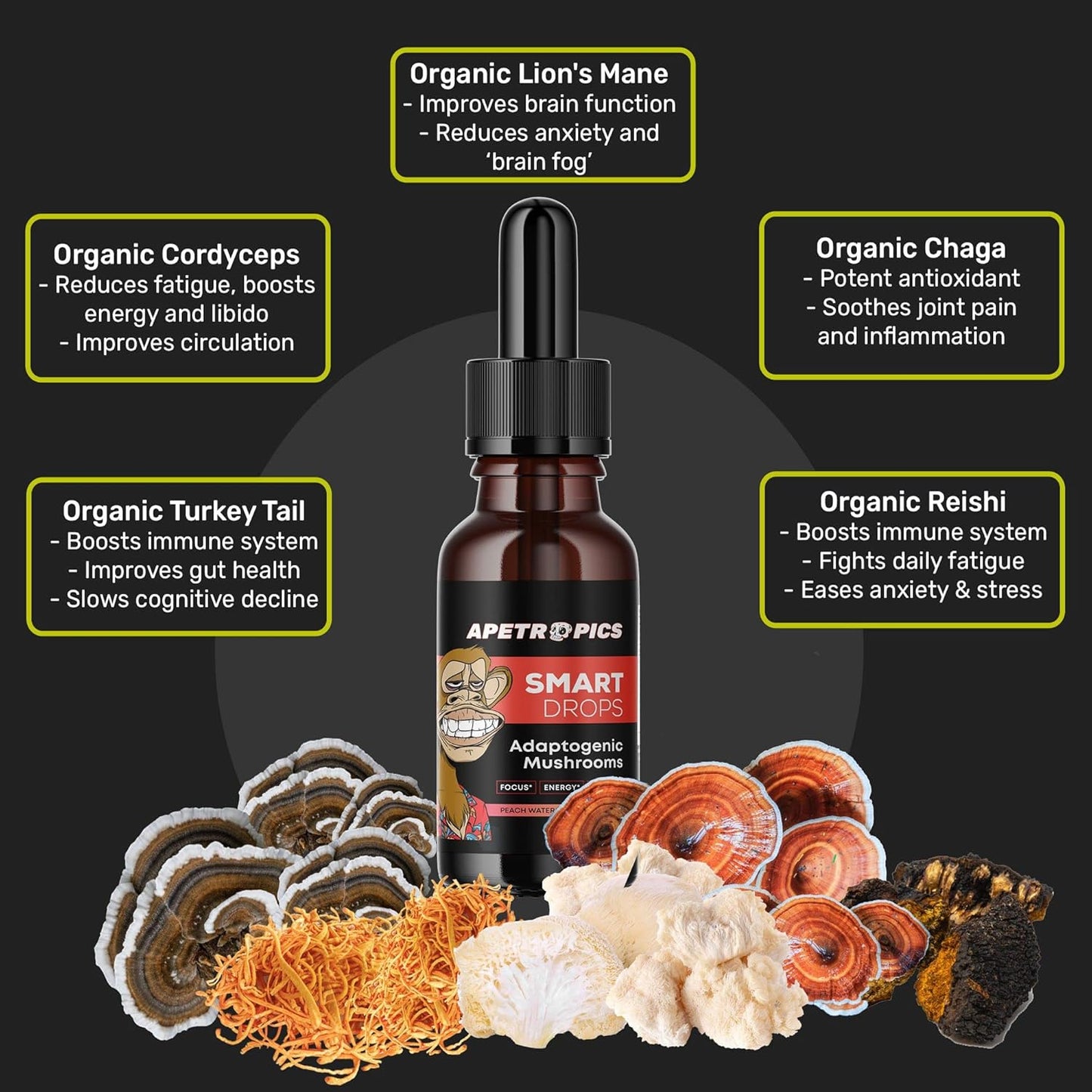 5-in-1 Adaptogenic Mushroom Tincture with Lion’s Mane, Cordyceps, Turkey Tail, Chaga, Reishi - Nootropic Brain Supplement - Peach Watermelon Flavor - 30 Servings x 3 Pack