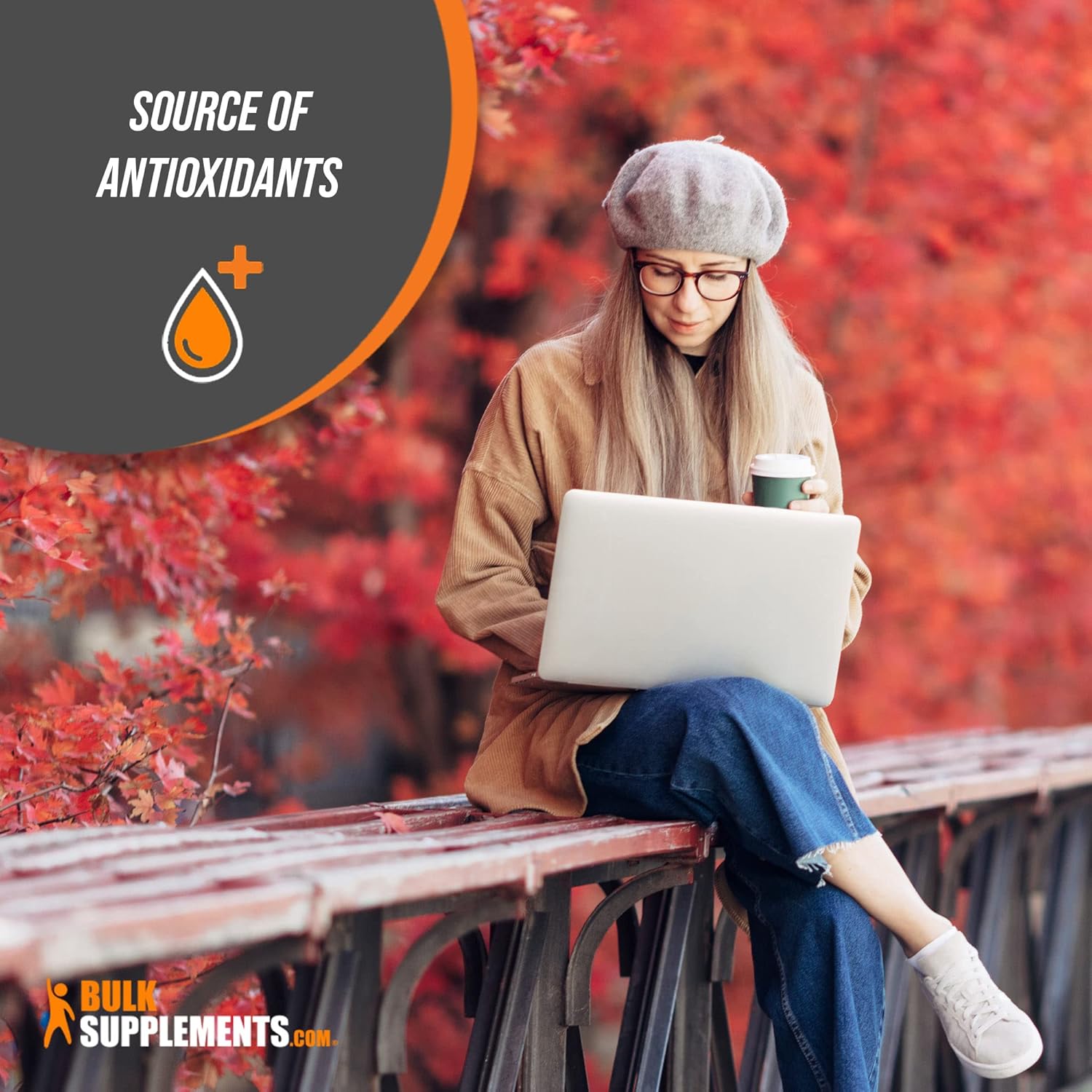 5 Kilograms Bulk Barberry Extract Powder - Pure Berberine Supplement from Root & Bark - Soy Free - 500mg per Serving - Pack of 5