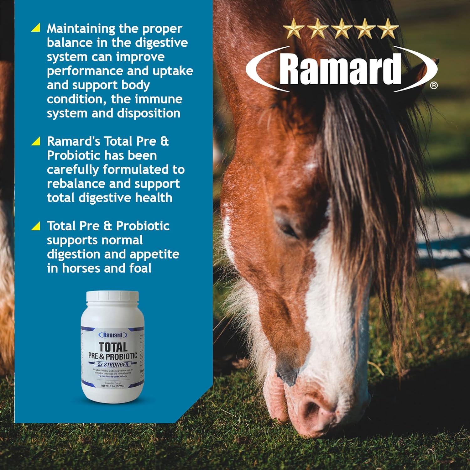 5 lb Jar of Ramard Total Prebiotic & Probiotic Equine Formula for Optimal Gut Health and Nutrient Absorption in Horses and Livestock