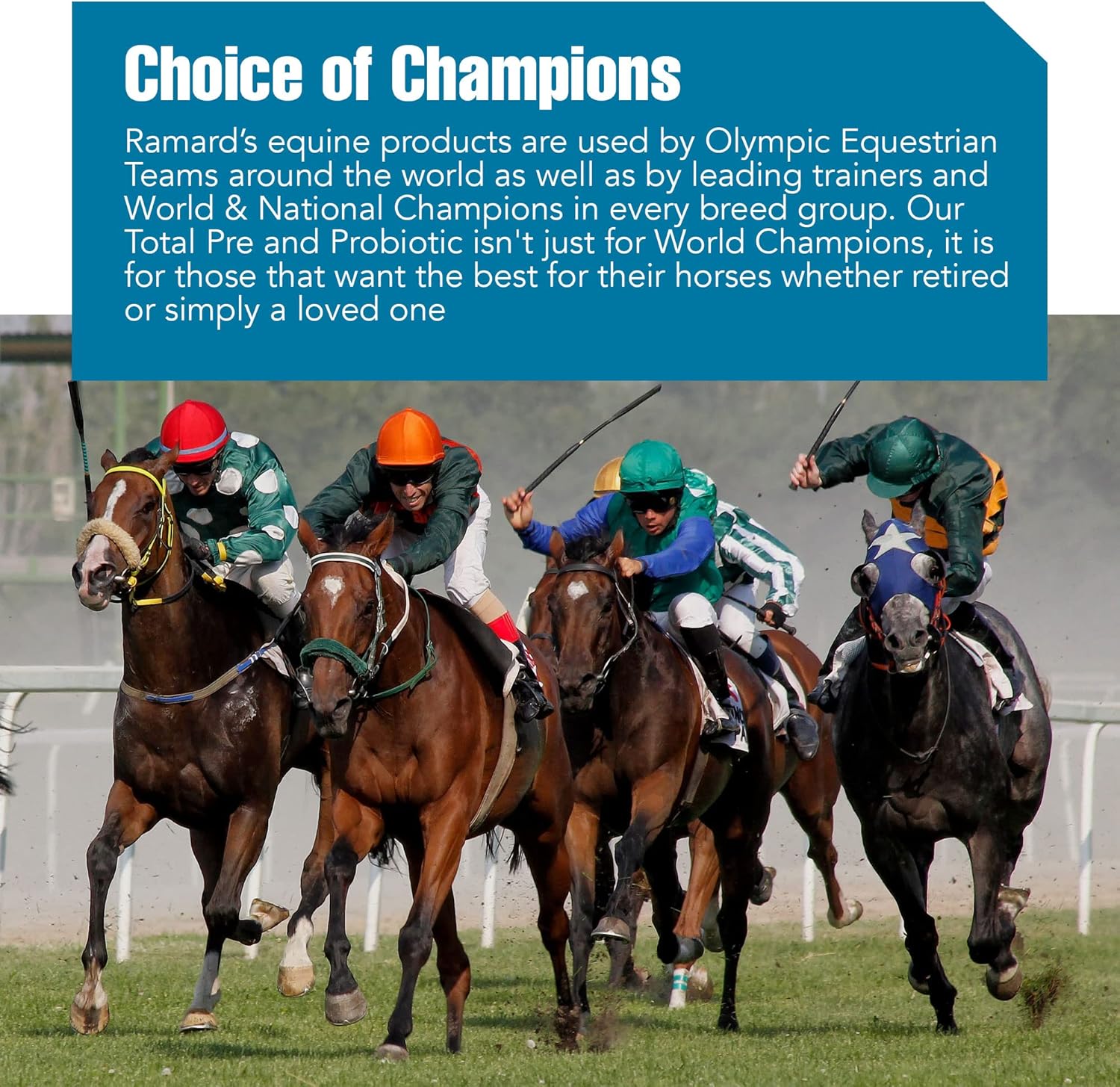 5 lb Jar of Ramard Total Prebiotic & Probiotic Equine Formula for Optimal Gut Health and Nutrient Absorption in Horses and Livestock