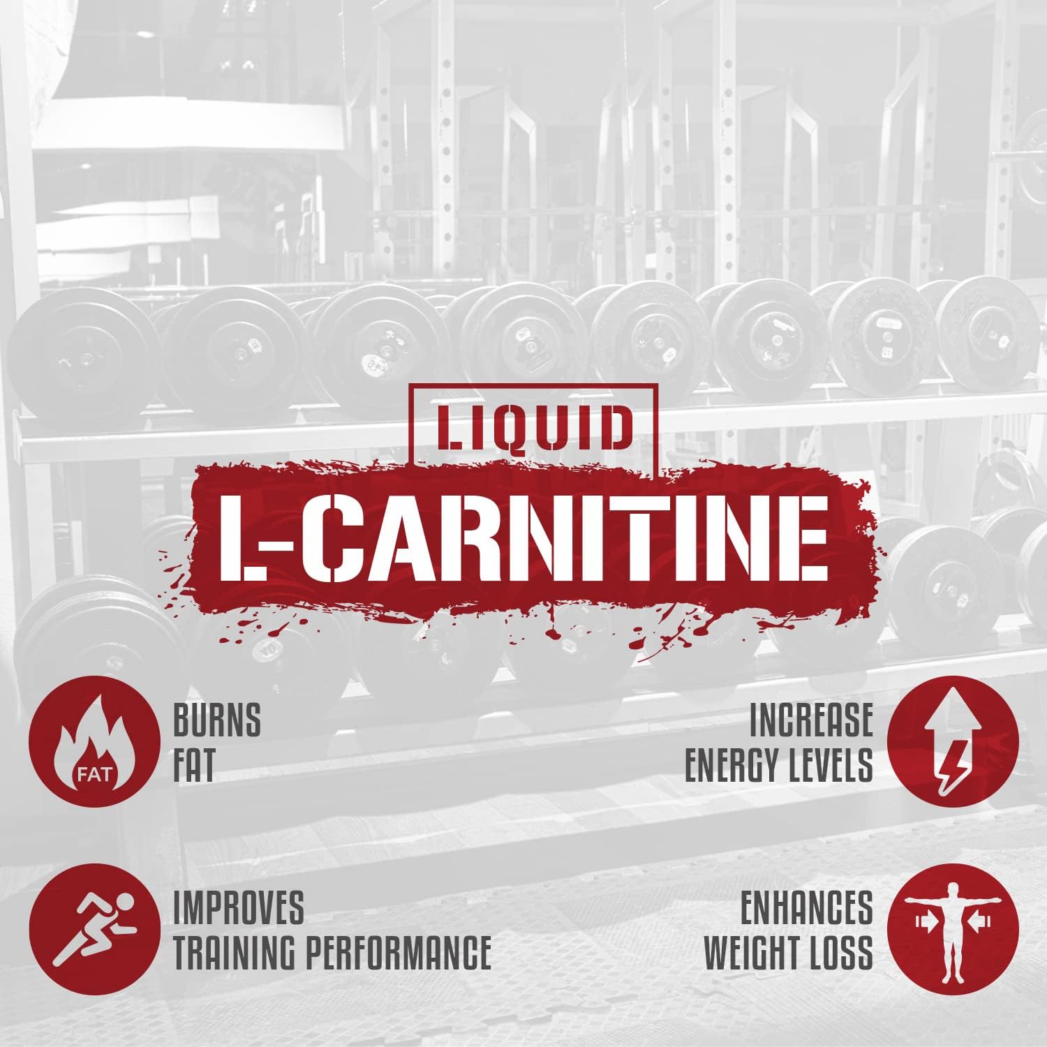 5% Nutrition Rich Piana Liquid L-Carnitine 3150: Premium 4 Source Blend with GBB for Enhanced Performance (Watermelon Candy Flavor)