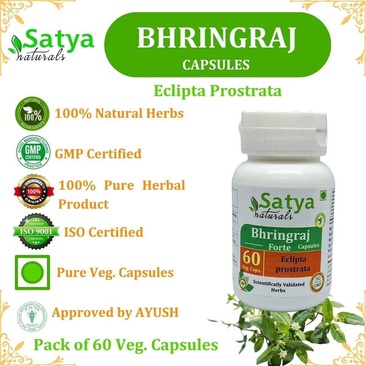 500 mg Bhringraj Capsules - 60 Count Eclipta Prostrata Extract - Pack of 1