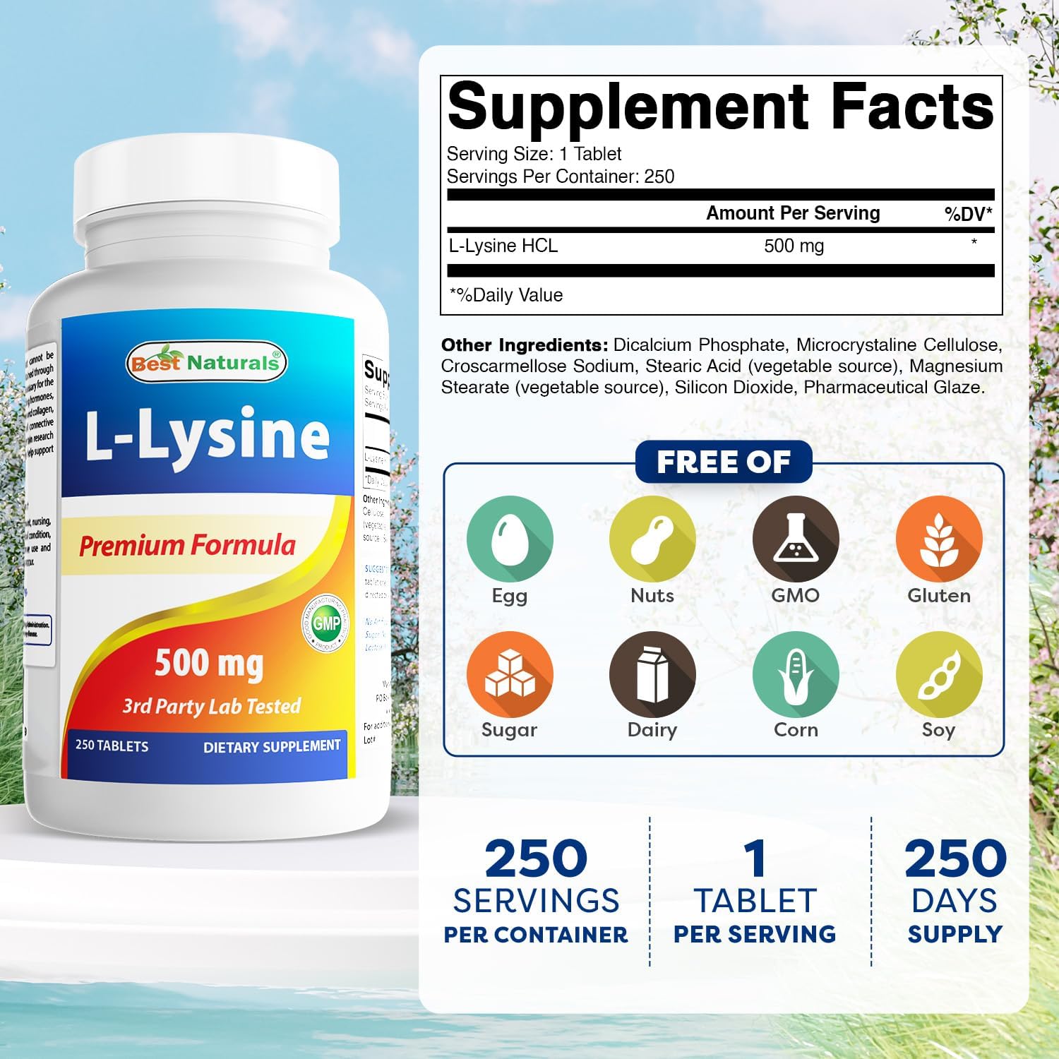 500 mg L-Lysine Tablets - 250 Count (Pack of 2) - High Quality Natural Supplement for Immune Support