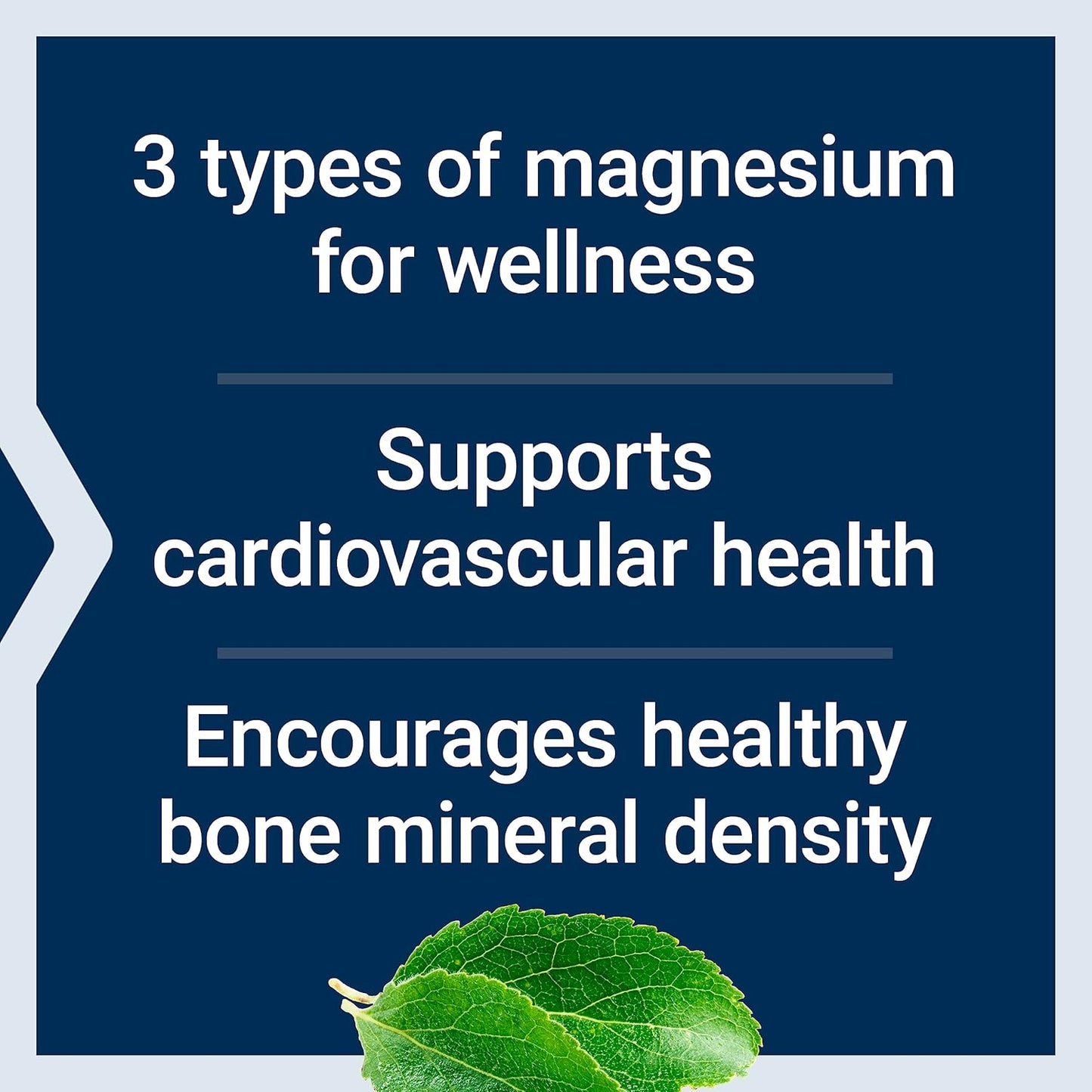 500 mg Magnesium Capsules for Heart Health, Bones & Metabolism - Pack of 2 - 200 Vegetarian Capsules total