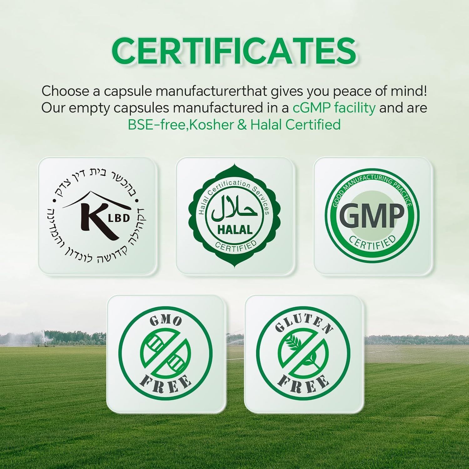 5,000 Count Plant Based Vegan Capsules Size 2 for DIY Supplements - Gluten Free, Non-GMO, Halal Certified with Filling Kit