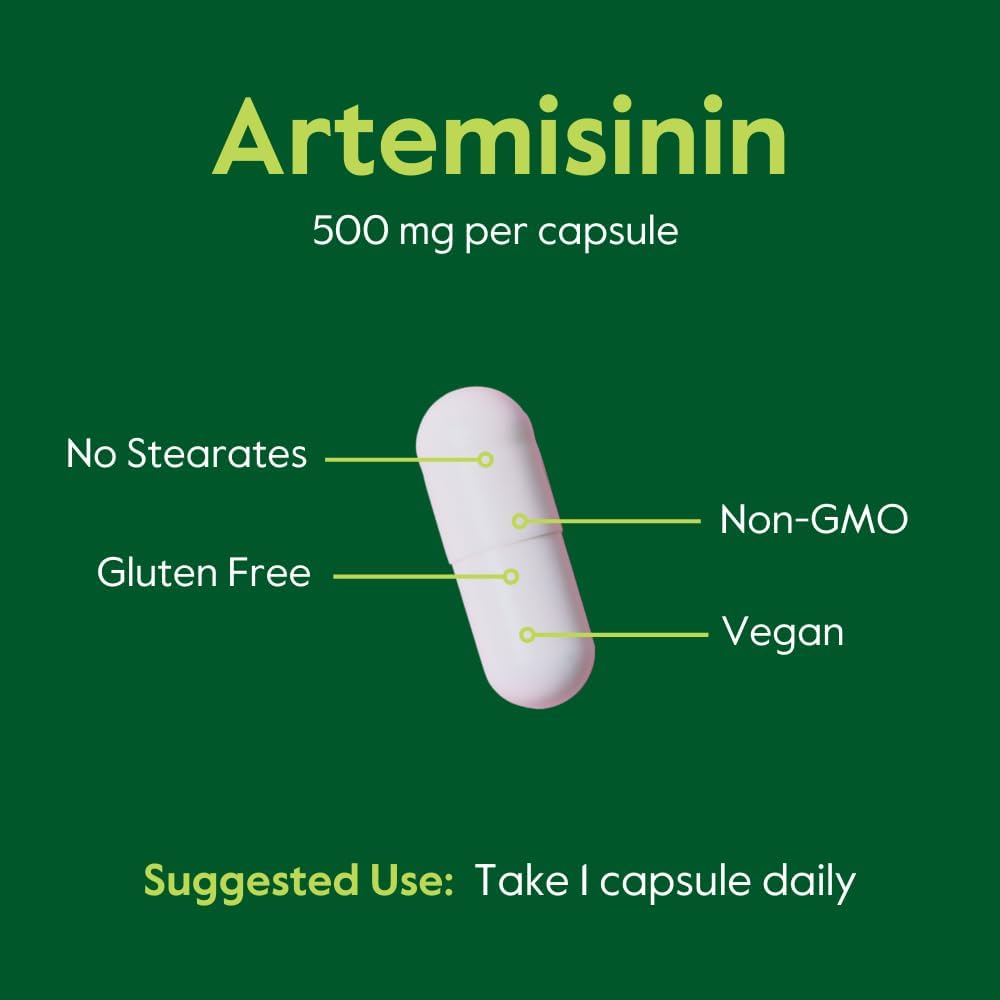 500mg Artemisinin Capsules - 60 Vegetarian Capsules, Vegan, Gluten-Free, Non-GMO, No Fillers, No Stearates, No Flow Agents