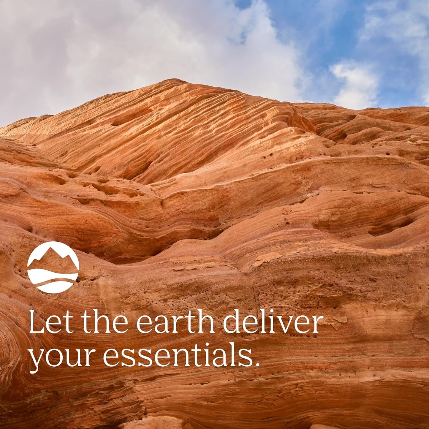 500mg Beef Liver Capsules - Supports Bone Health, Energy, Skin, and Immunity - Nutritional Supplement for Healthy Organs - 180 Capsules