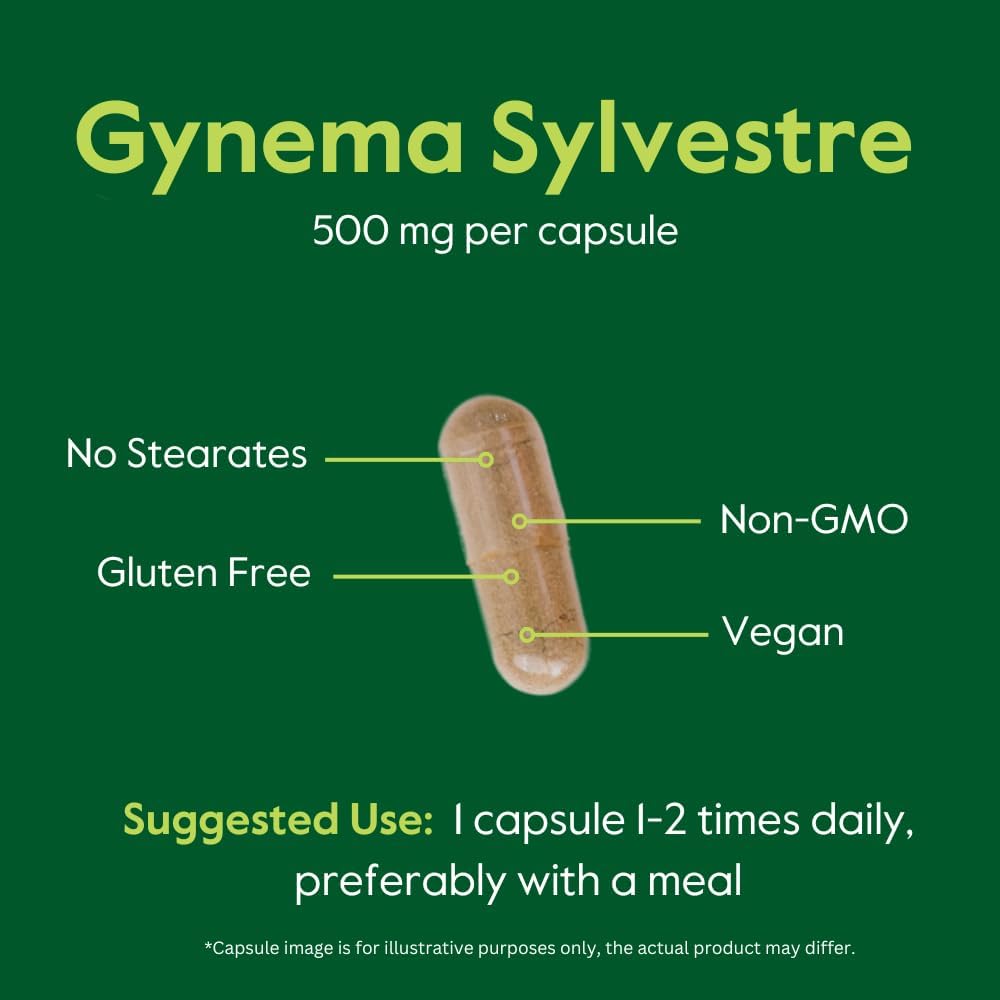 500mg Gymnema Sylvestre Capsules (240 ct) - 75% Gymnemic Acid - Vegan, Non-GMO, Gluten Free - No Stearates, Fillers, Flow Agents