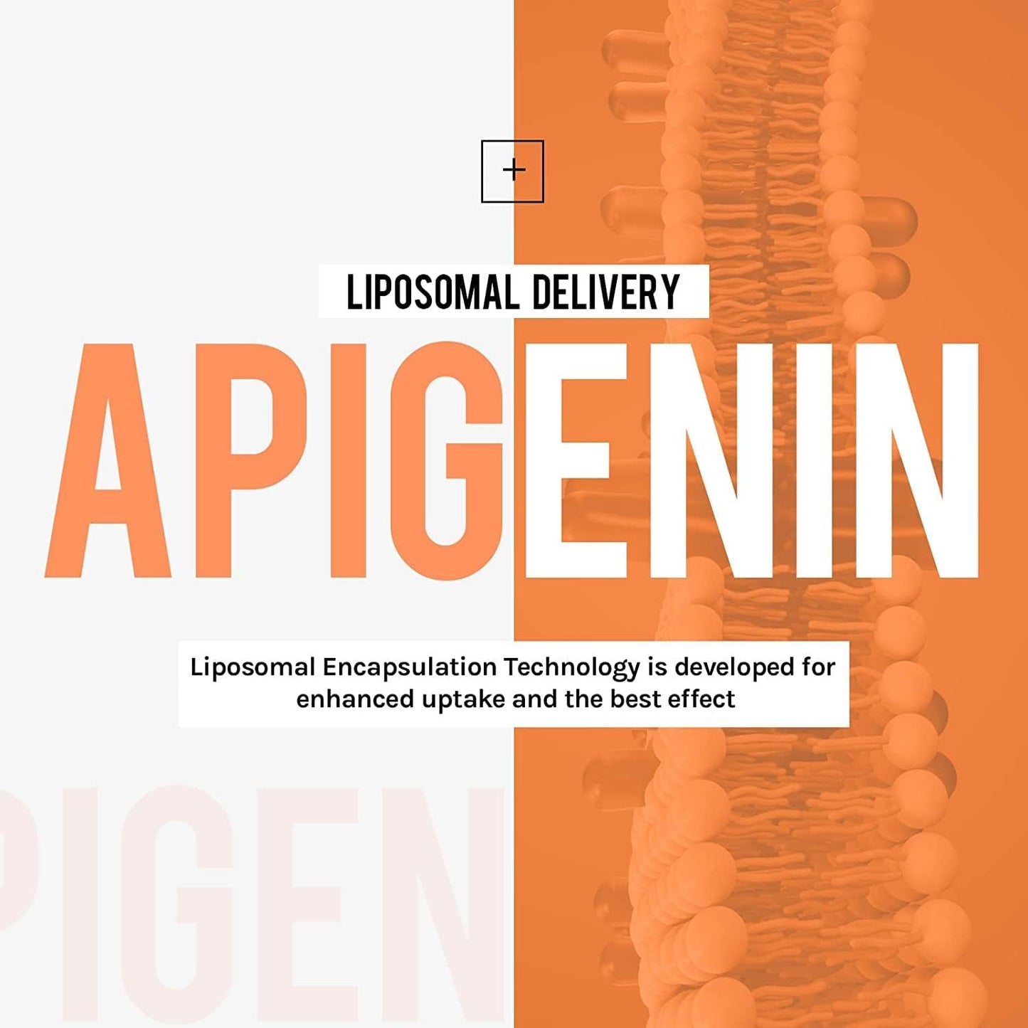 500mg Liposomal Apigenin Softgels with Fisetin, Quercetin, and Theaflavins - 12 Month Supply for Optimal Results