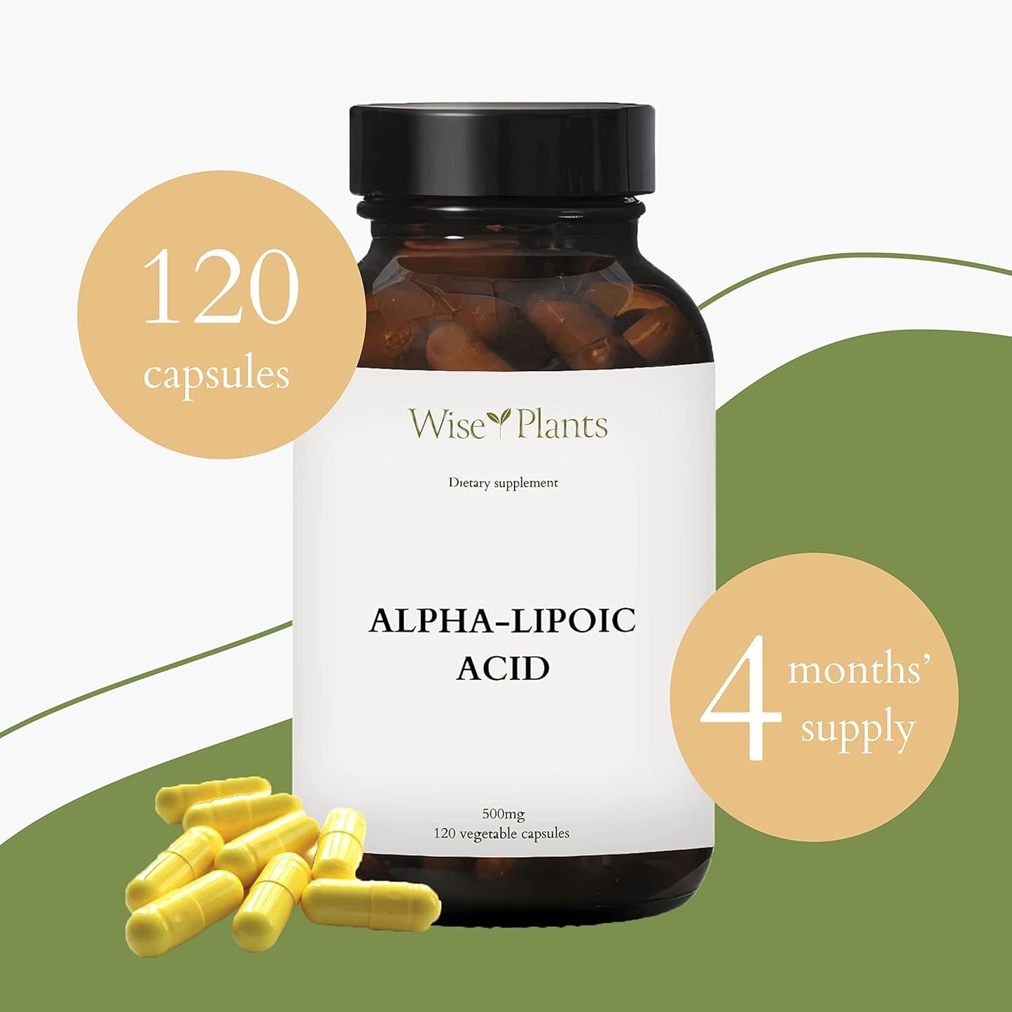 500mg Non-GMO Alpha-Lipoic Acid Supplement for Energy & Mitochondria Support - 120 Servings (4 Months Supply) by Wise Plants