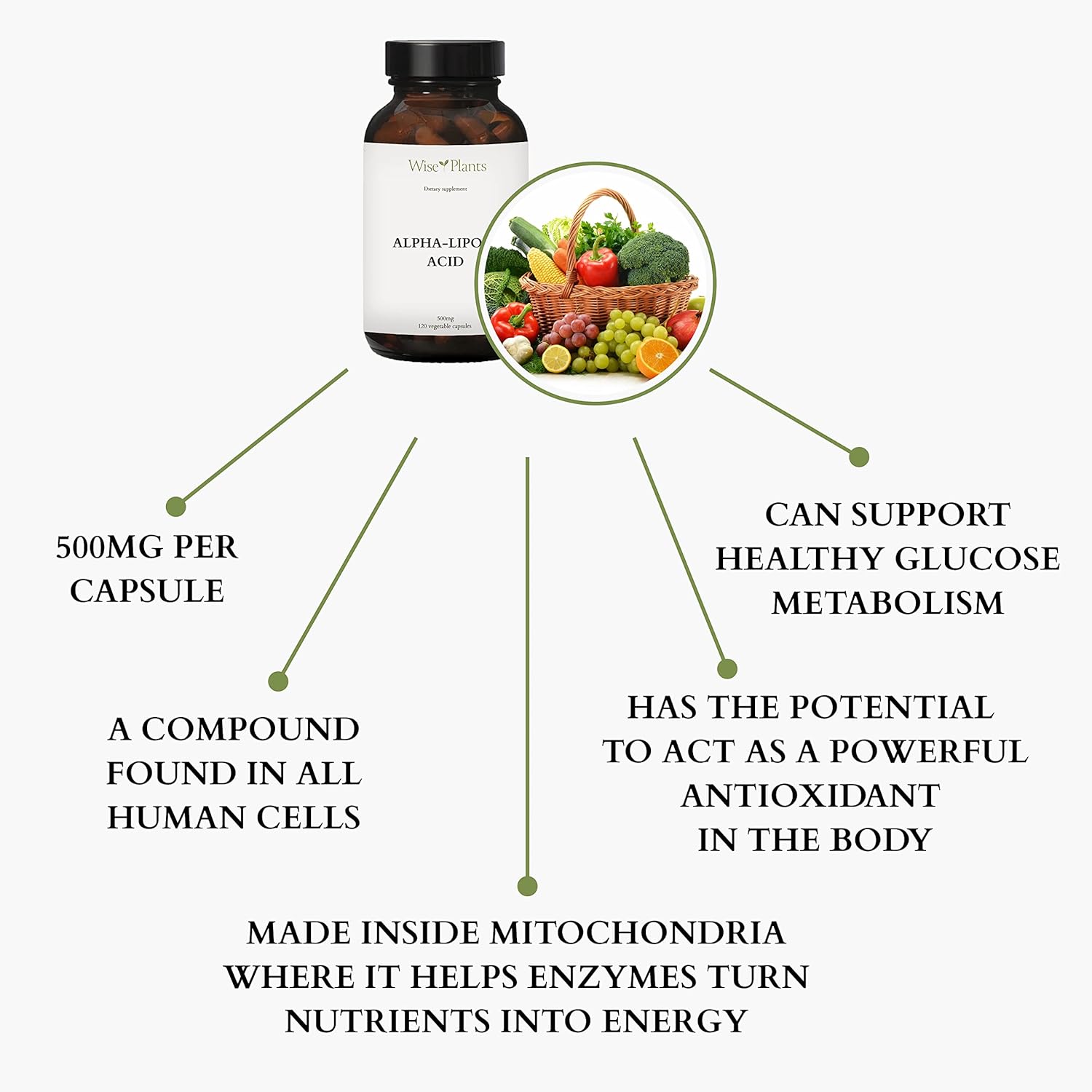 500mg Non-GMO Alpha-Lipoic Acid Supplement for Energy & Mitochondria Support - 120 Servings (4 Months Supply) by Wise Plants