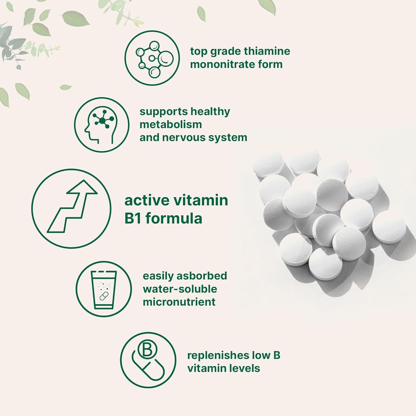 500mg Vitamin B1 Thiamine Tablets - Supports Metabolism & Nervous System - 240 Non-GMO Easy Swallow Pills