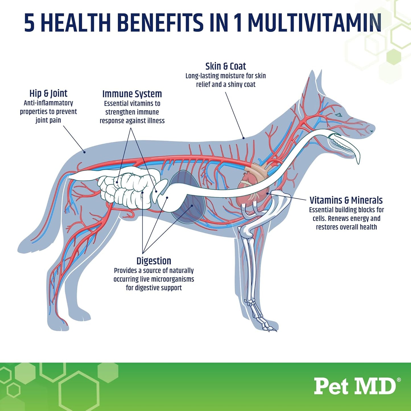 5in1 Dog Multivitamin with 30 Essential Nutrients - Skin, Coat, Hip, Joint, Digestion & Immune Support - Glucosamine, Omega 3 6 9, Probiotics - 120 ct