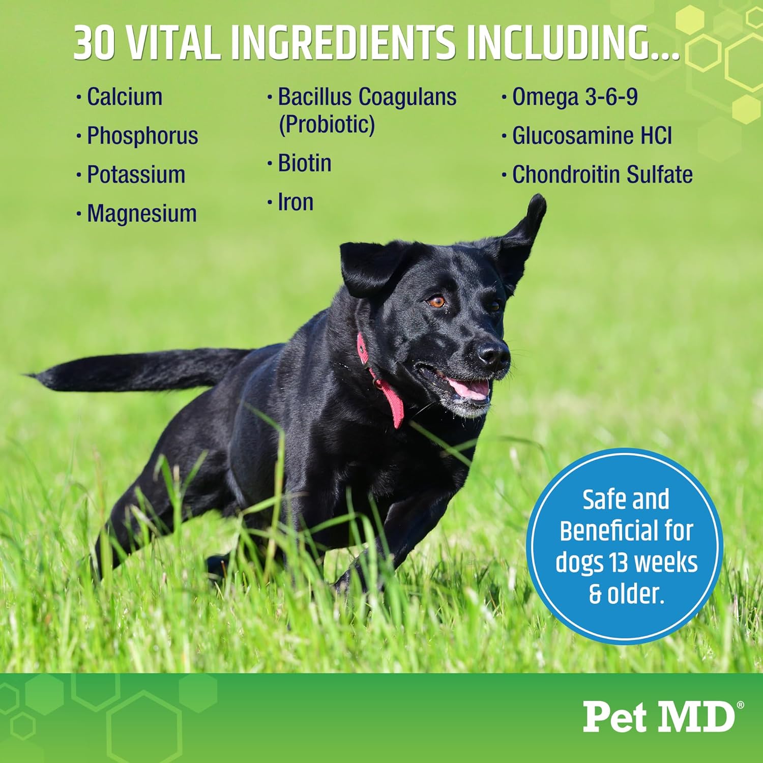 5in1 Dog Multivitamin with 30 Essential Nutrients - Skin, Coat, Hip, Joint, Digestion & Immune Support - Glucosamine, Omega 3 6 9, Probiotics - 120 ct