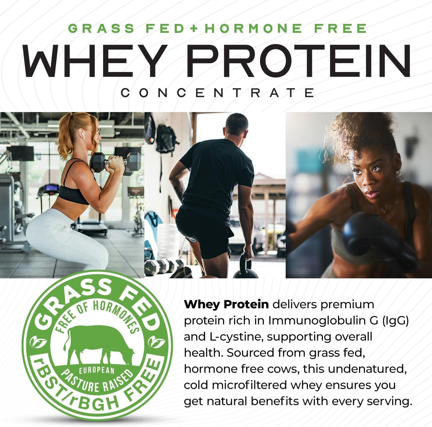5lb Chocolate Grass-Fed Whey Protein Concentrate Powder - Hormone Free, Pasture Raised, All Natural by Muscle Feast