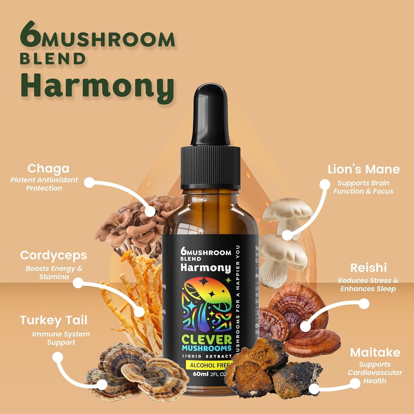 6 Blend Mushroom Liquid Extract for Natural Energy, Cognitive Support, and Immunity Boost - US Grown, Alcohol Free, 100% Fruit Bodies - Lion's Mane, Cordyceps, Reishi, Chaga, Turkey Tail - 1 fl oz