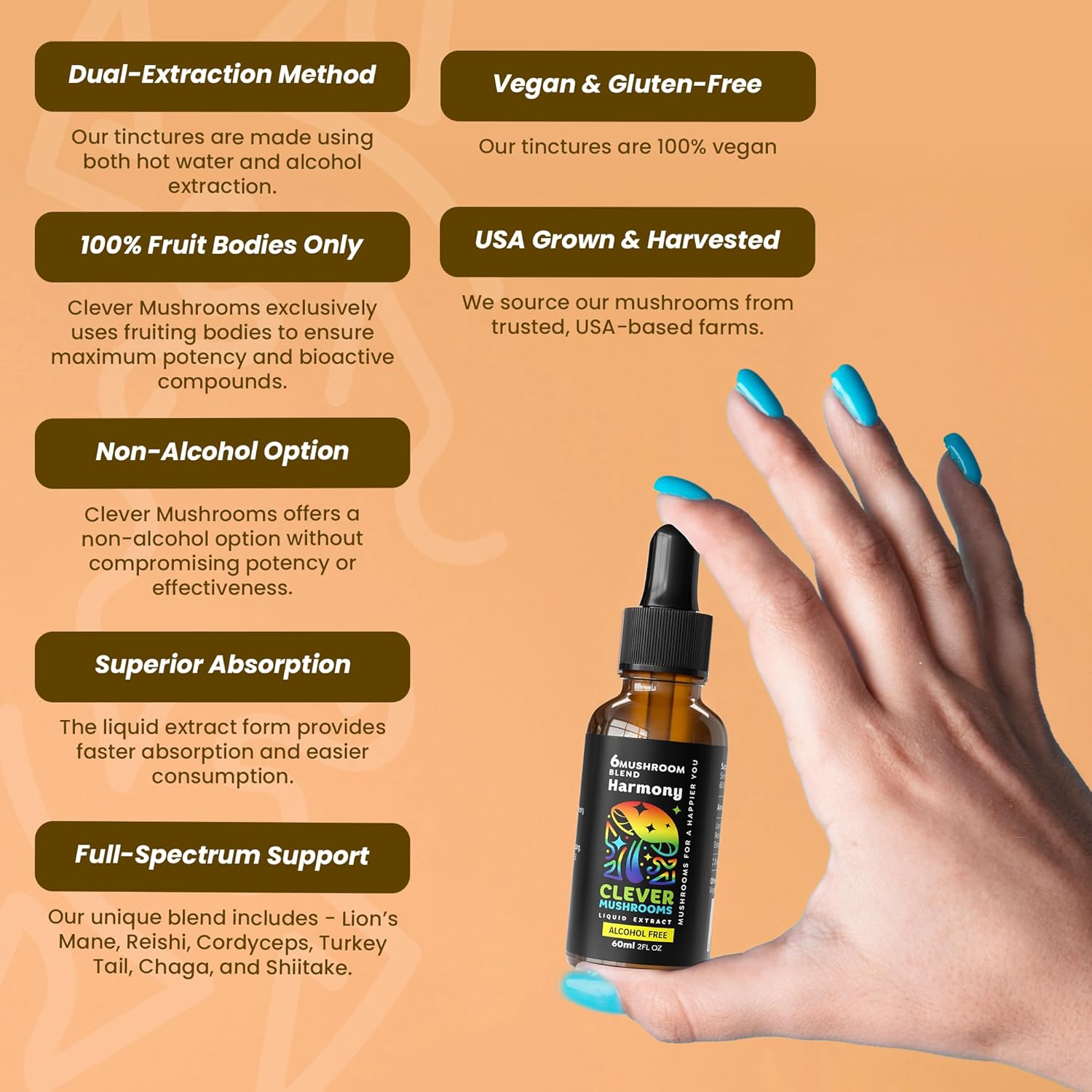 6 Blend Mushroom Liquid Extract for Natural Energy, Cognitive Support, and Immunity Boost - US Grown, Alcohol Free, 100% Fruit Bodies - Lion's Mane, Cordyceps, Reishi, Chaga, Turkey Tail - 1 fl oz