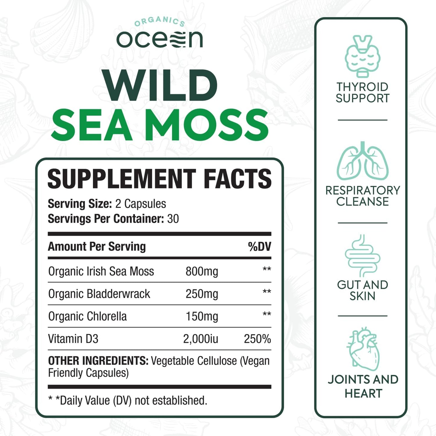 6 Bottles of Organic Ocean Wild Sea Moss Capsules with Chlorella, Bladderwrack, and Vitamin D for Energy, Lung Health, and Thyroid Support in Men and Women