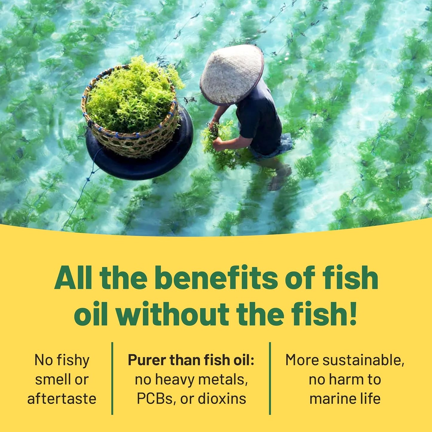 6-Month Vegan Immunity Boost Bundle: Plant-Based Multivitamins & Omega 3 Algae Oil for Energy & Health - Vegan & Vegetarian Friendly