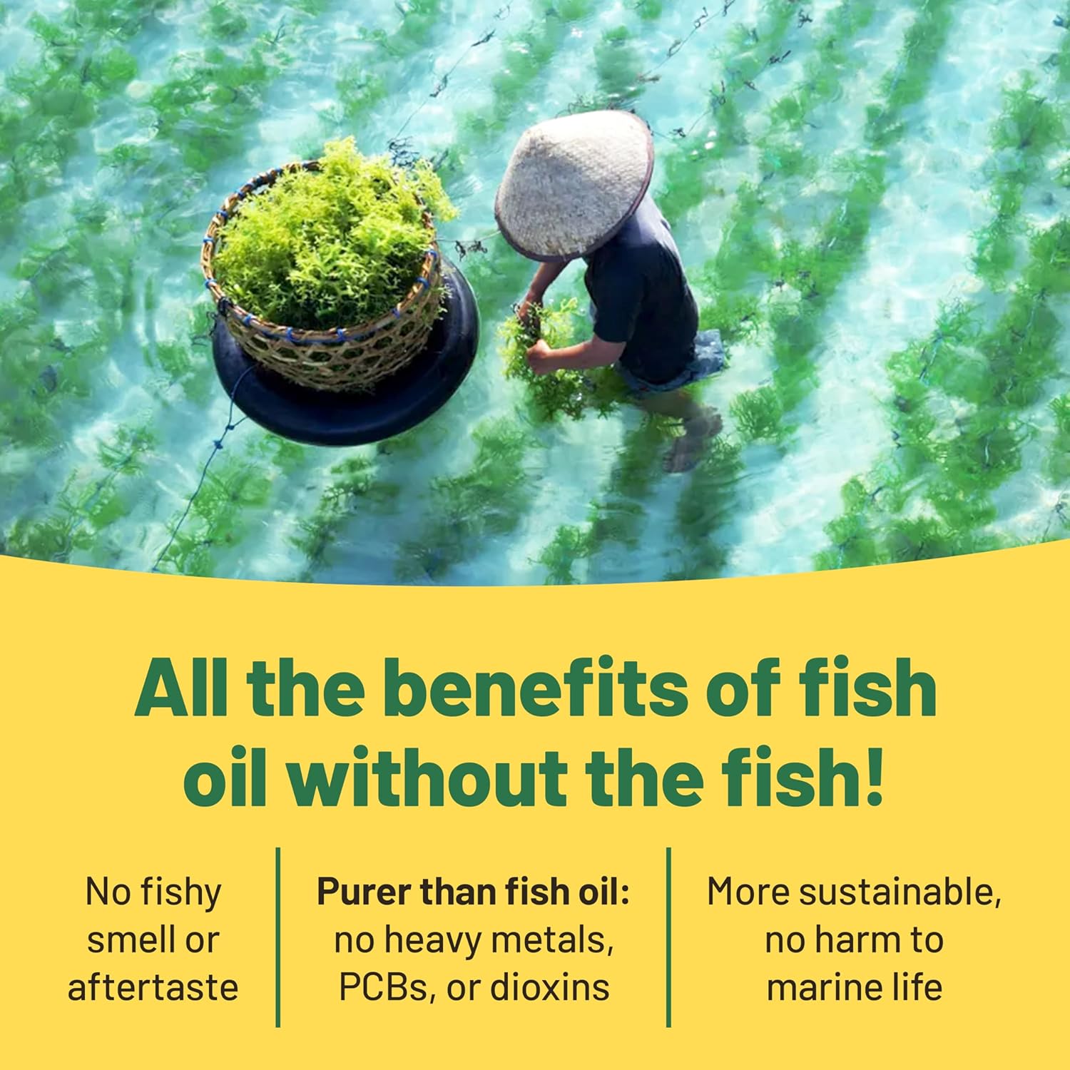 6-Month Vegan Immunity Boost Bundle: Plant-Based Multivitamins & Omega 3 Algae Oil for Energy & Health - Vegan & Vegetarian Friendly