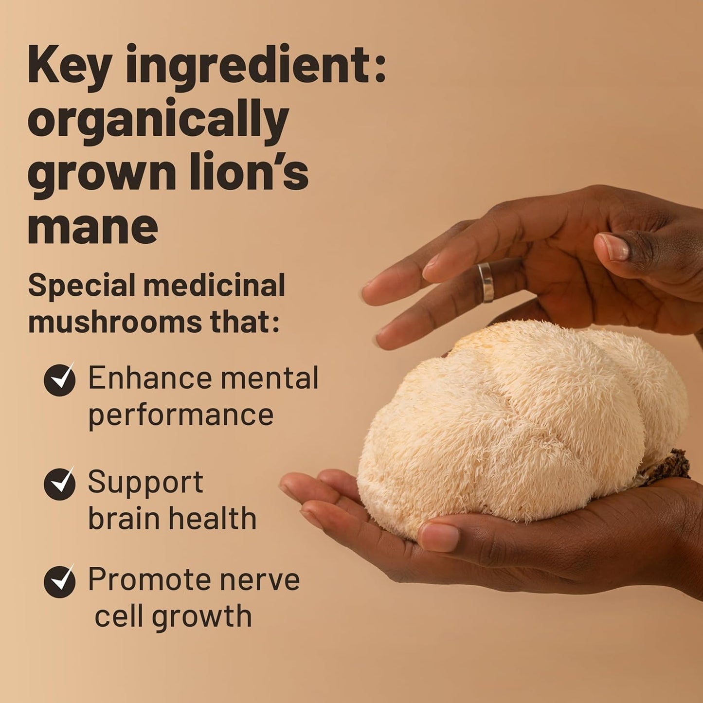 6-Month Vegan Lion's Mane & Multivitamin Combo Bundle for Optimal General Health