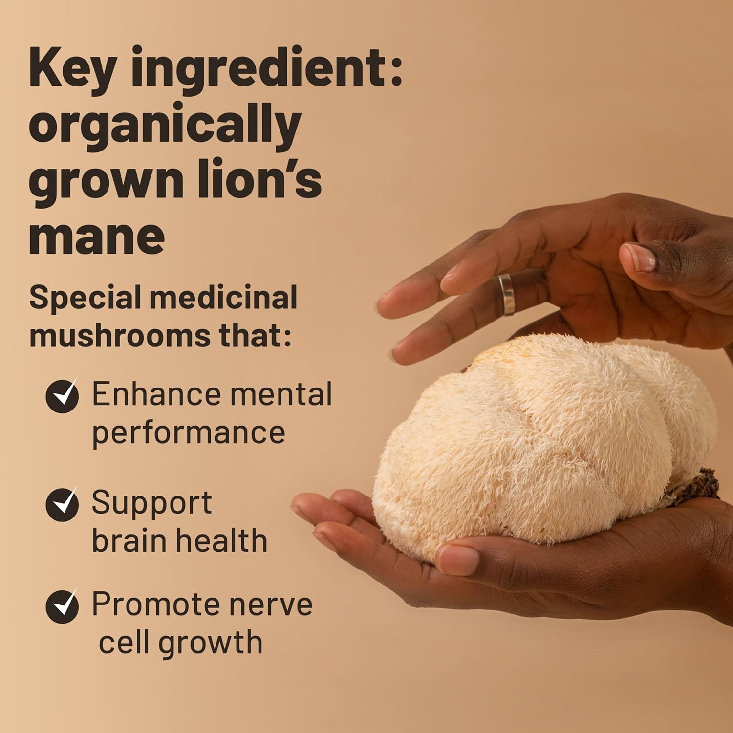 6-Month Vegan Lion's Mane & Multivitamin Combo Bundle for Optimal General Health