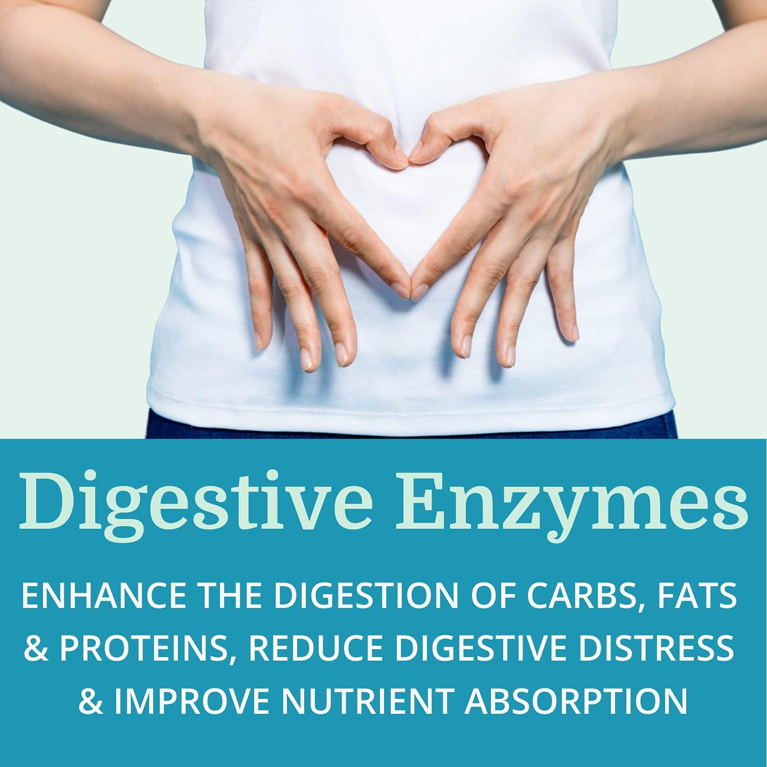 6 Pack Morter HealthSystem Alka•Pan: Alkaline Digestive Supplement with Pancreatic Enzymes, Superfoods, & Herbs