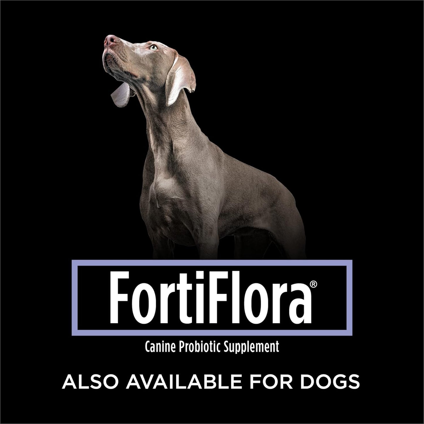 6 Packs of Purina Pro Plan Veterinary FortiFlora Cat Probiotic Supplement (30 ct. Boxes) for Diarrhea in Cats