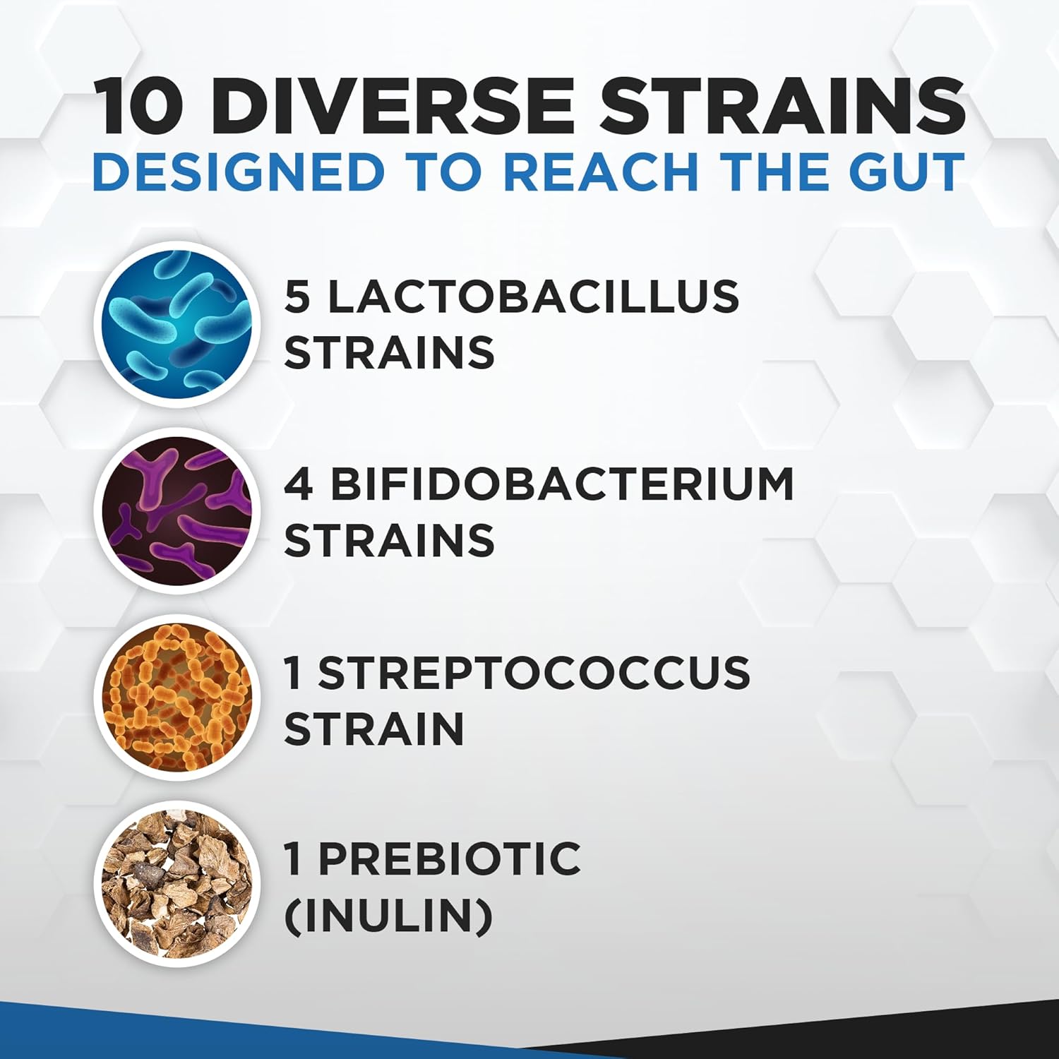 60 Billion CFU Natural Probiotic Blend with Prebiotics for Digestive Health - 60 Capsules for Men & Women
