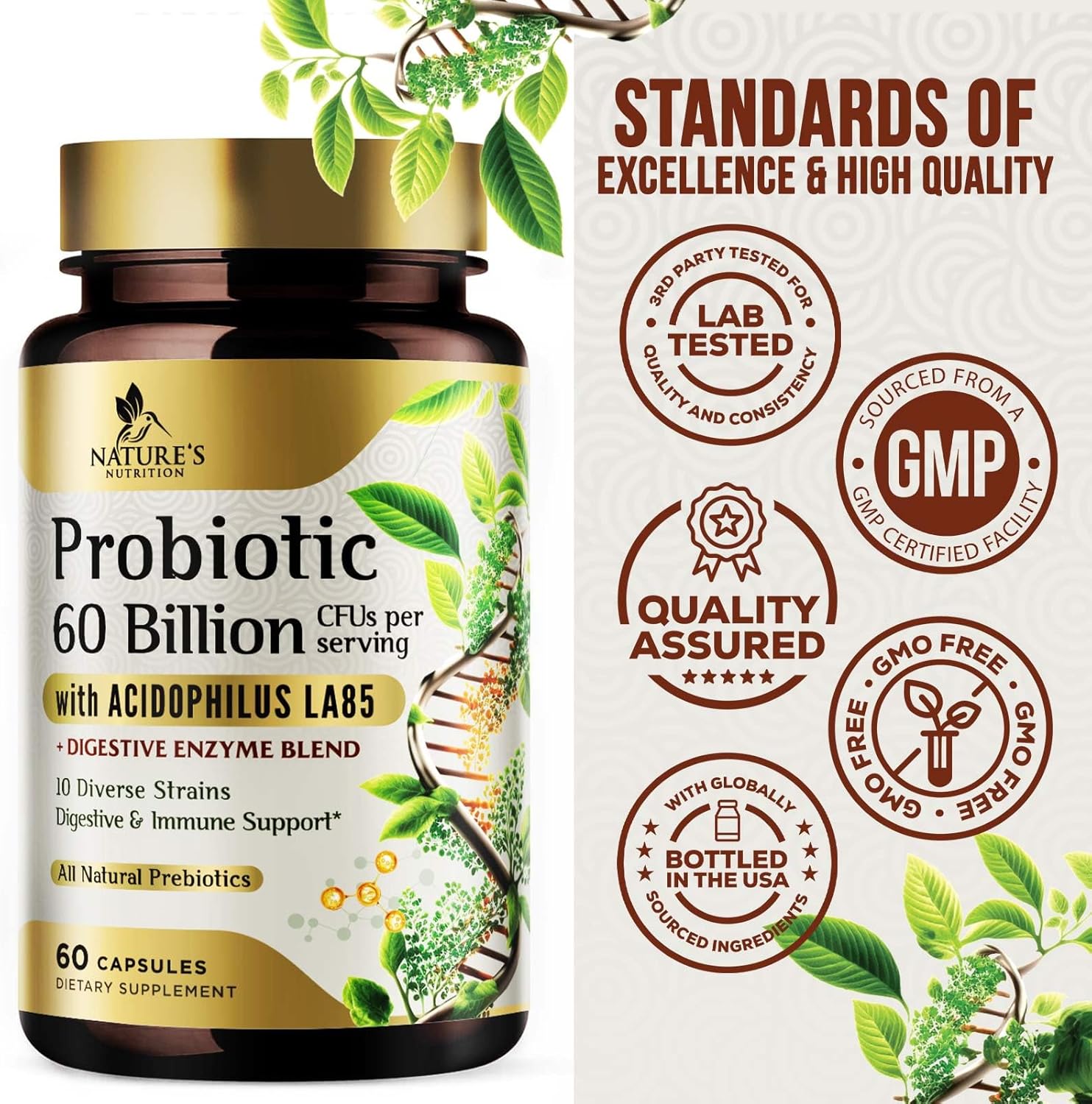 60 Billion CFU Probiotic with Prebiotics for Digestive & Gut Health - Immune Support, Occasional Constipation Relief - 10 Strains - Shelf Stable - 60 Capsules