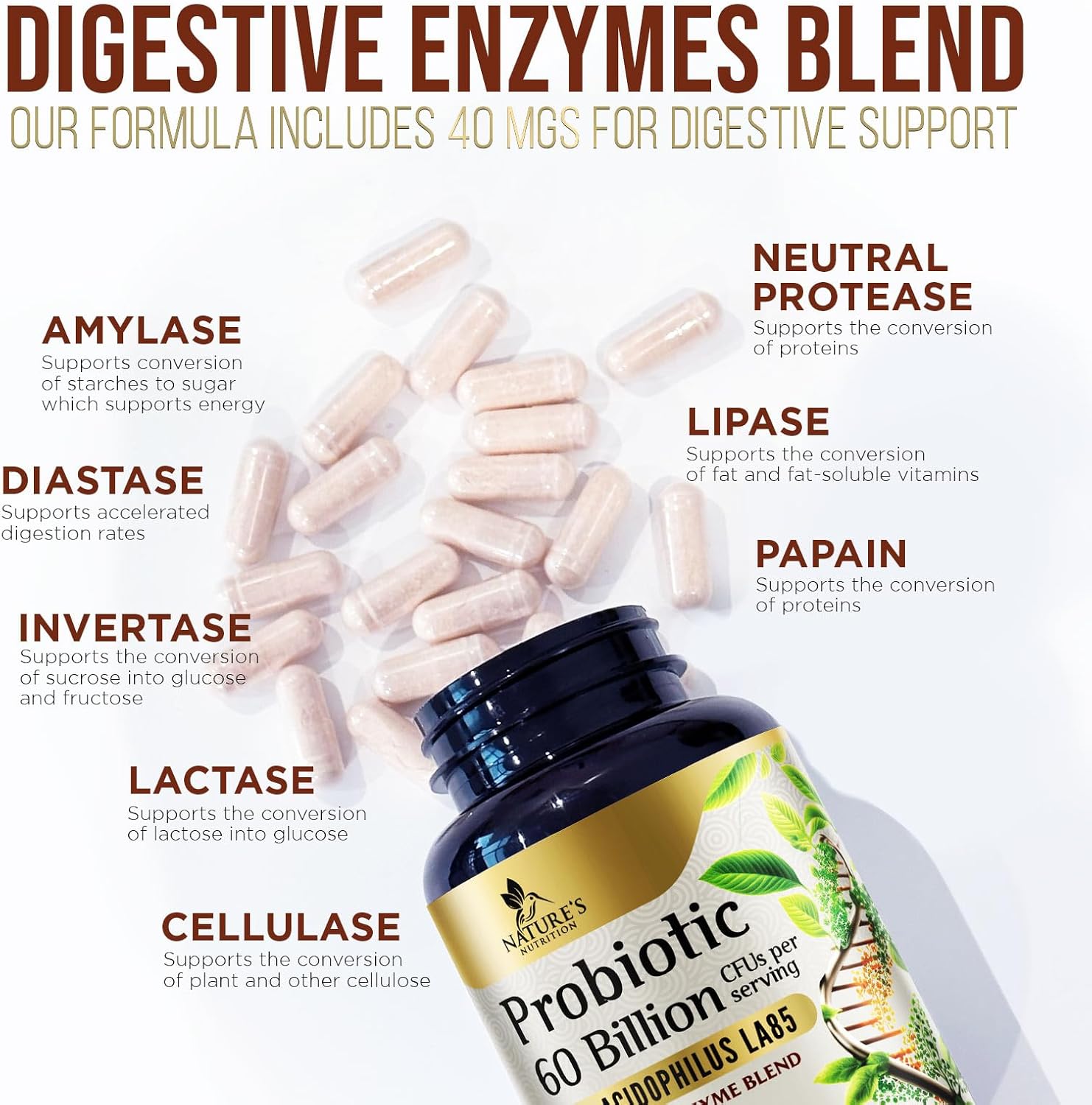 60 Billion CFU Probiotic with Prebiotics for Digestive & Gut Health - Immune Support, Occasional Constipation Relief - 10 Strains - Shelf Stable - 60 Capsules
