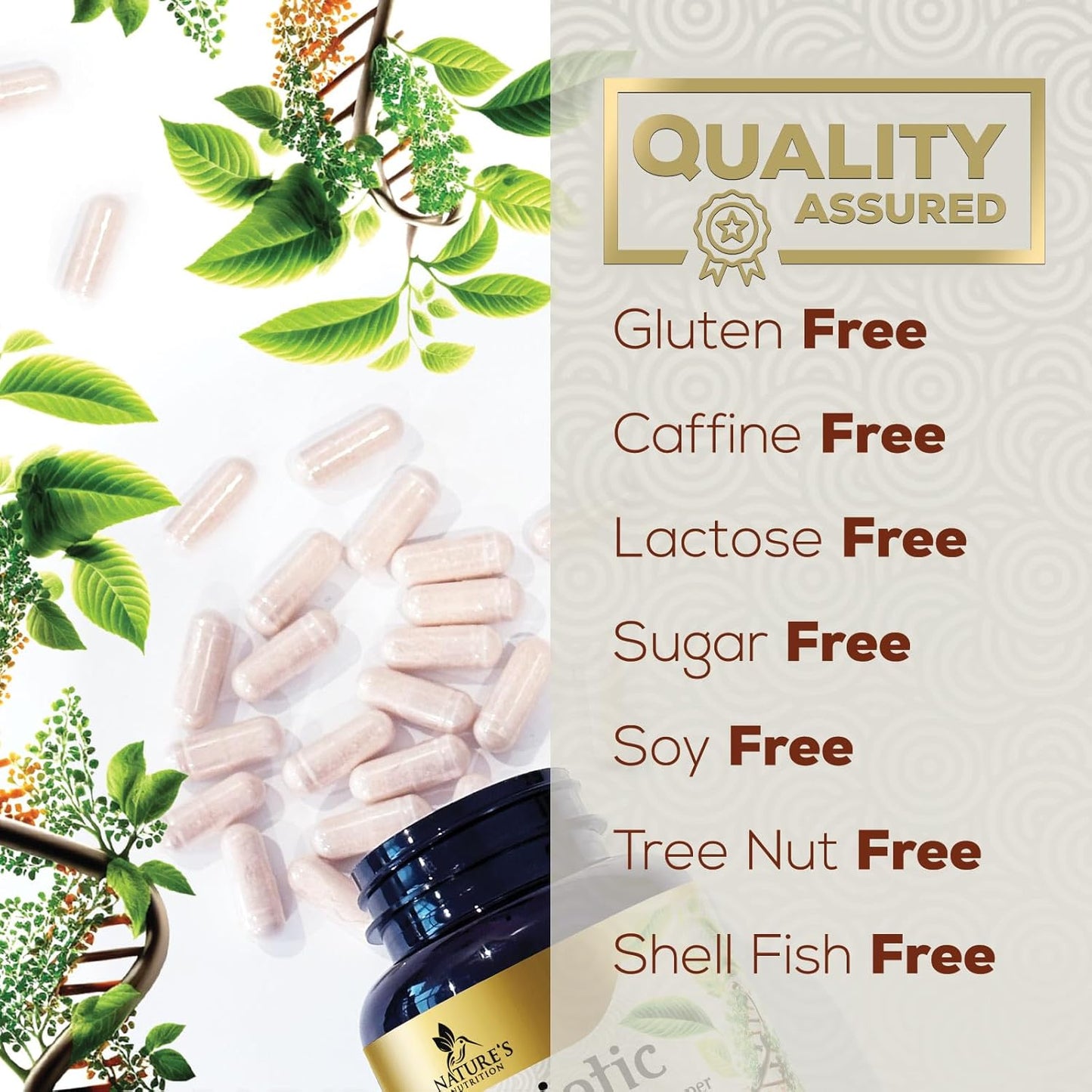 60 Billion CFU Probiotic with Prebiotics for Digestive & Gut Health - Immune Support, Occasional Constipation Relief - 10 Strains - Shelf Stable - 60 Capsules