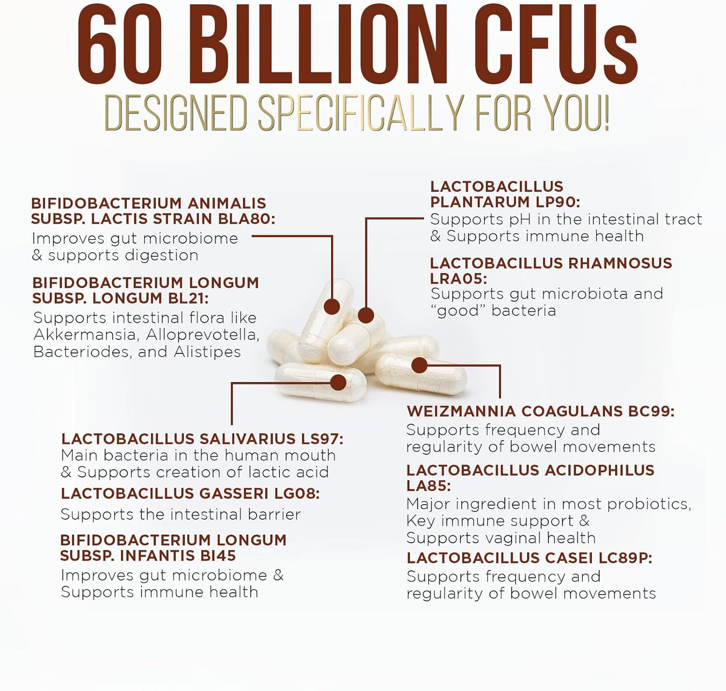 60 Billion CFU Probiotic with Prebiotics for Digestive & Gut Health - Immune Support, Occasional Constipation Relief - 10 Strains - Shelf Stable - 60 Capsules