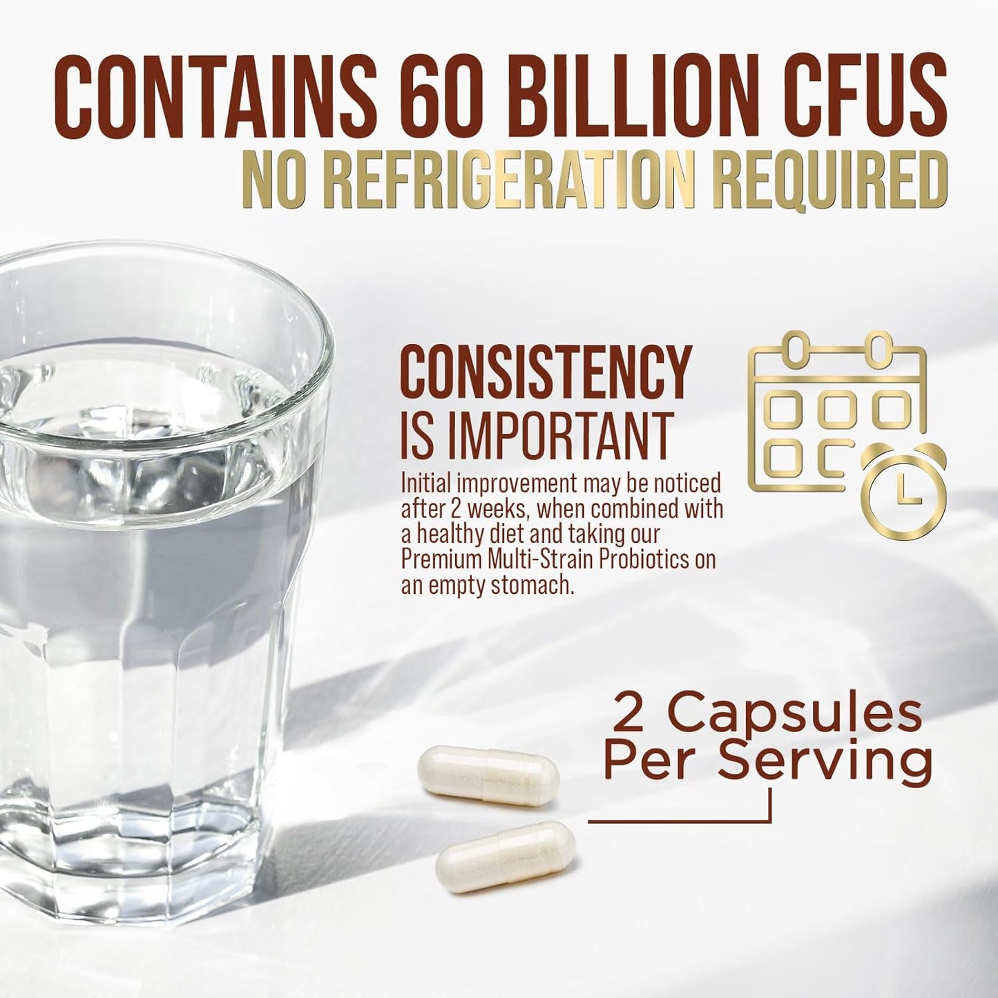 60 Billion CFU Probiotic with Prebiotics for Digestive & Gut Health - Immune Support, Occasional Constipation Relief - 10 Strains - Shelf Stable - 60 Capsules