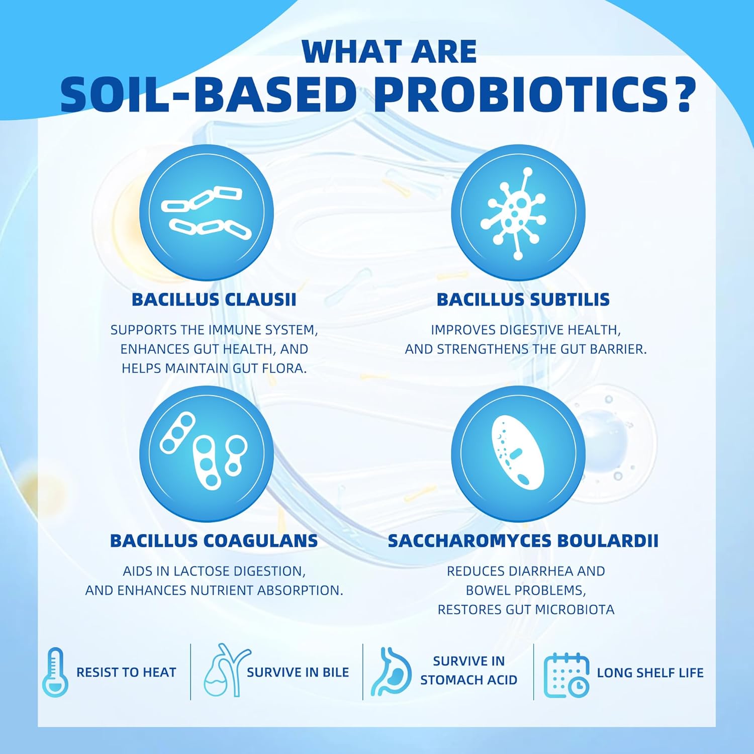 60 Billion CFU Probiotics with Prebiotics for Digestive Health - 88 Veggie Capsules for Women & Men - Immune & Gut Support, SBO Probiotic Formula for Occasional Constipation, Gas, & Bloating