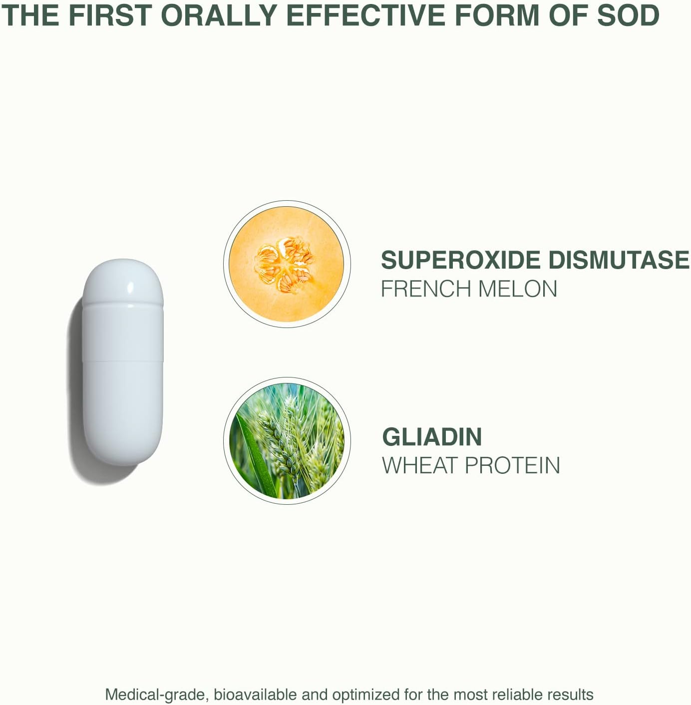 60 Capsules of GliSODin Skin Nutrients Antioxidant Enzyme for Reducing Oxidative Stress and Free Radical Damage - 1 Month Supply - BoostGo Australia